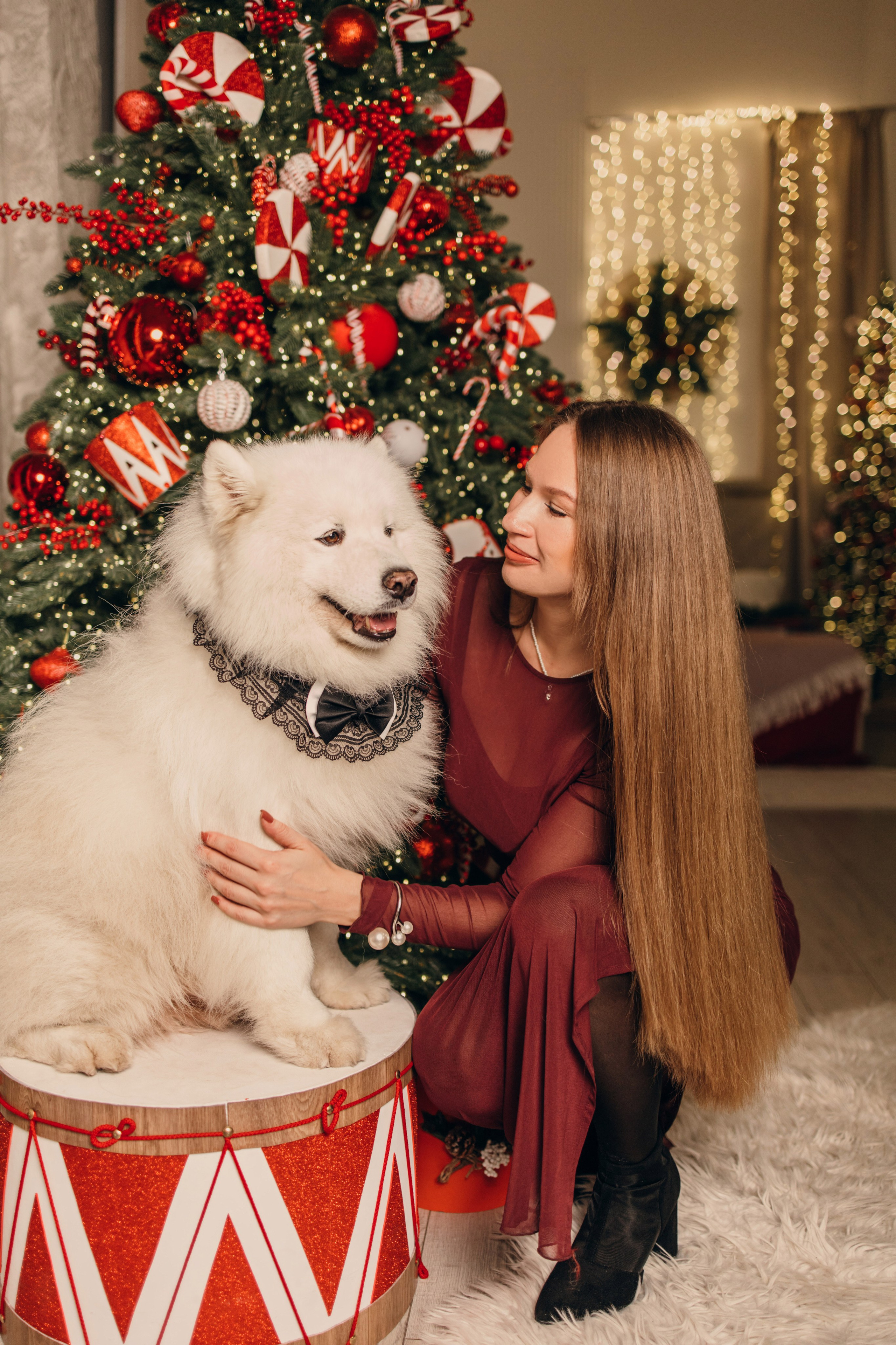 Новогодний самоед. Коновалова Ольга | фотограф в Пензе и Заречном