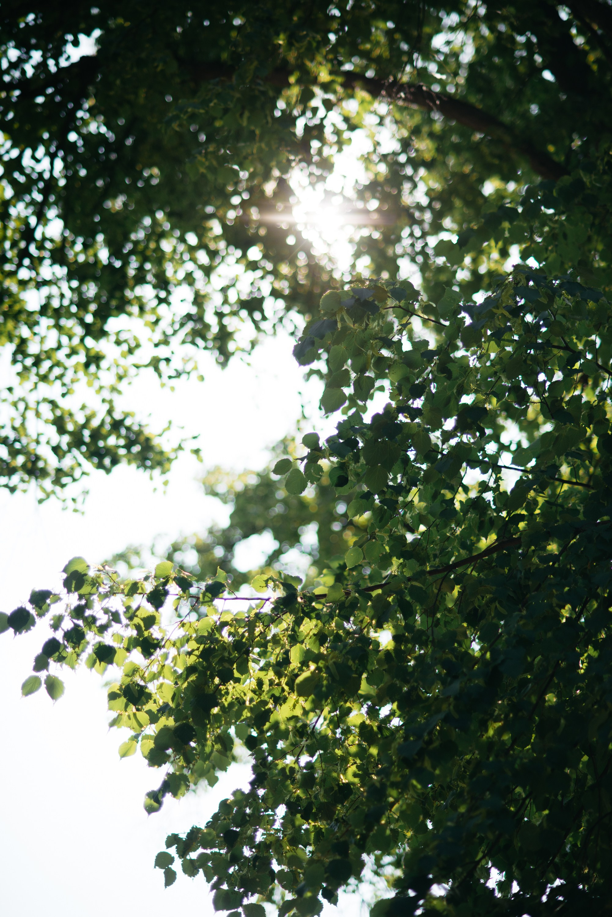 Wolki&Lipki. Свадебный фотограф Ижевск Петр Шишков