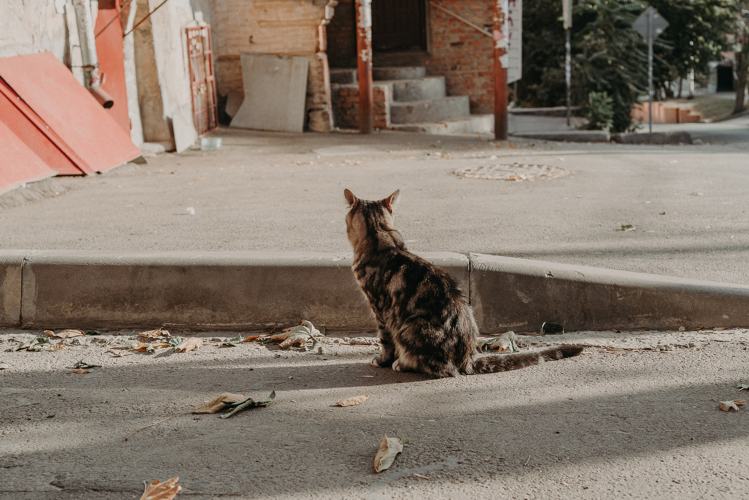 Путешествие по Ростову-на-Дону: взгляд рекламного фотографа. Коммерческий и предметный фотограф в Гуанчжоу Коваленко Александр