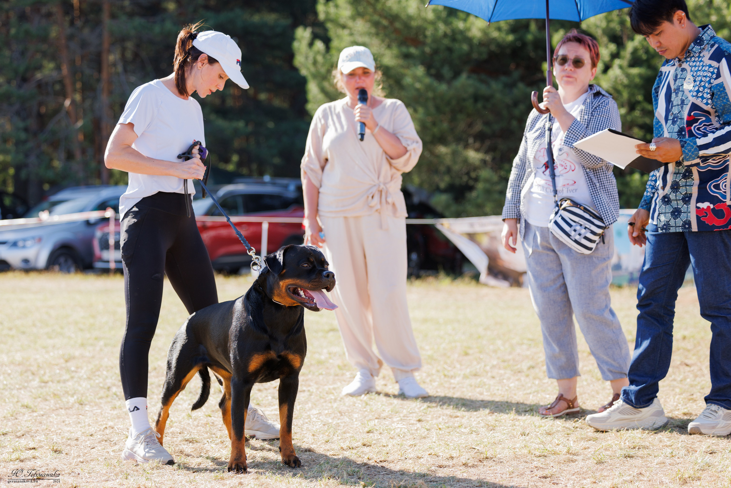 ПК и КЧК ротвейлеры Тверь 6-7.07.2024. Фотограф-анималист Юлия Германика