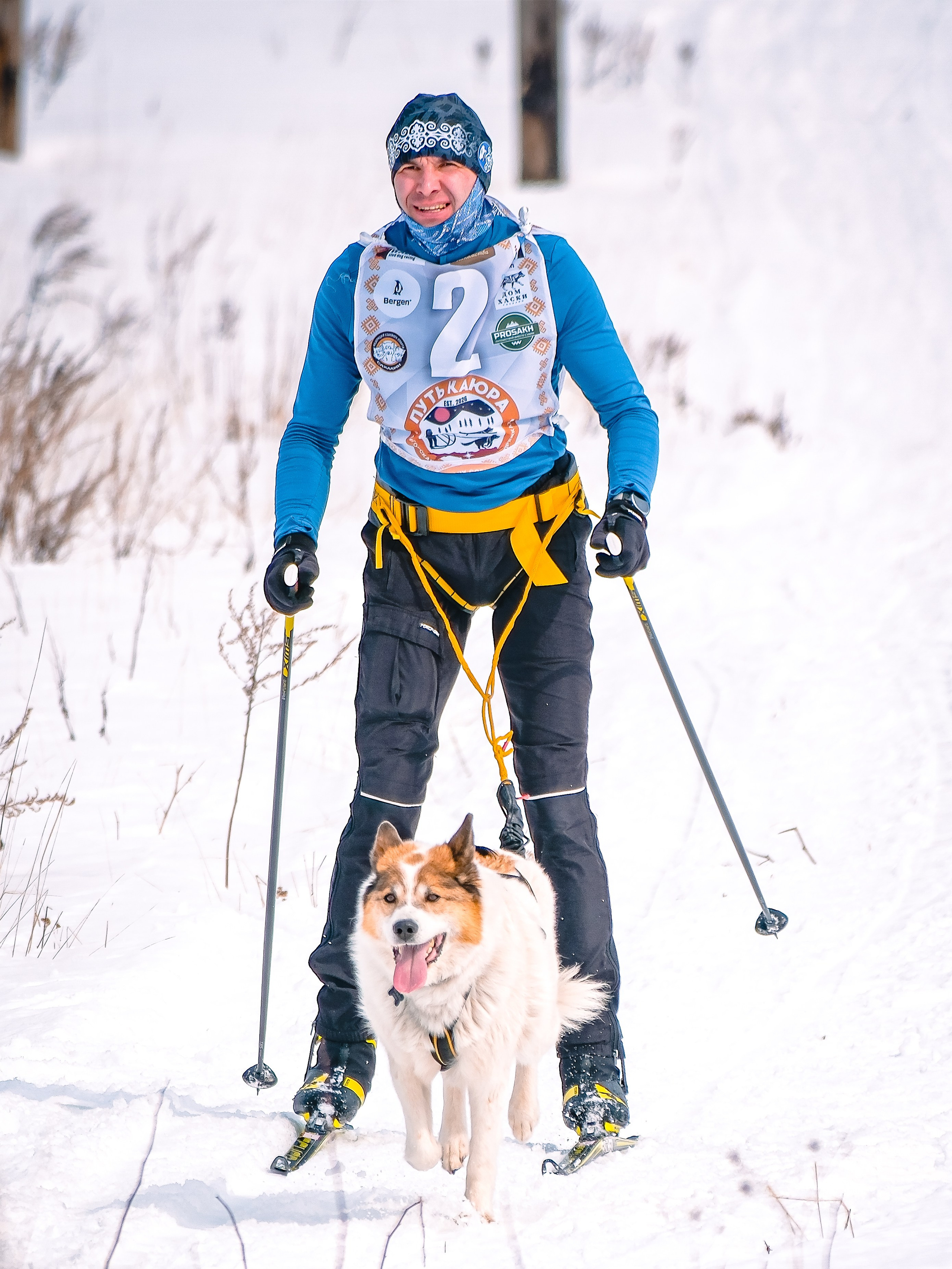 Фестиваль ездового спорта. Фотограф. г. Южно-Сахалинск. Олег Толстов