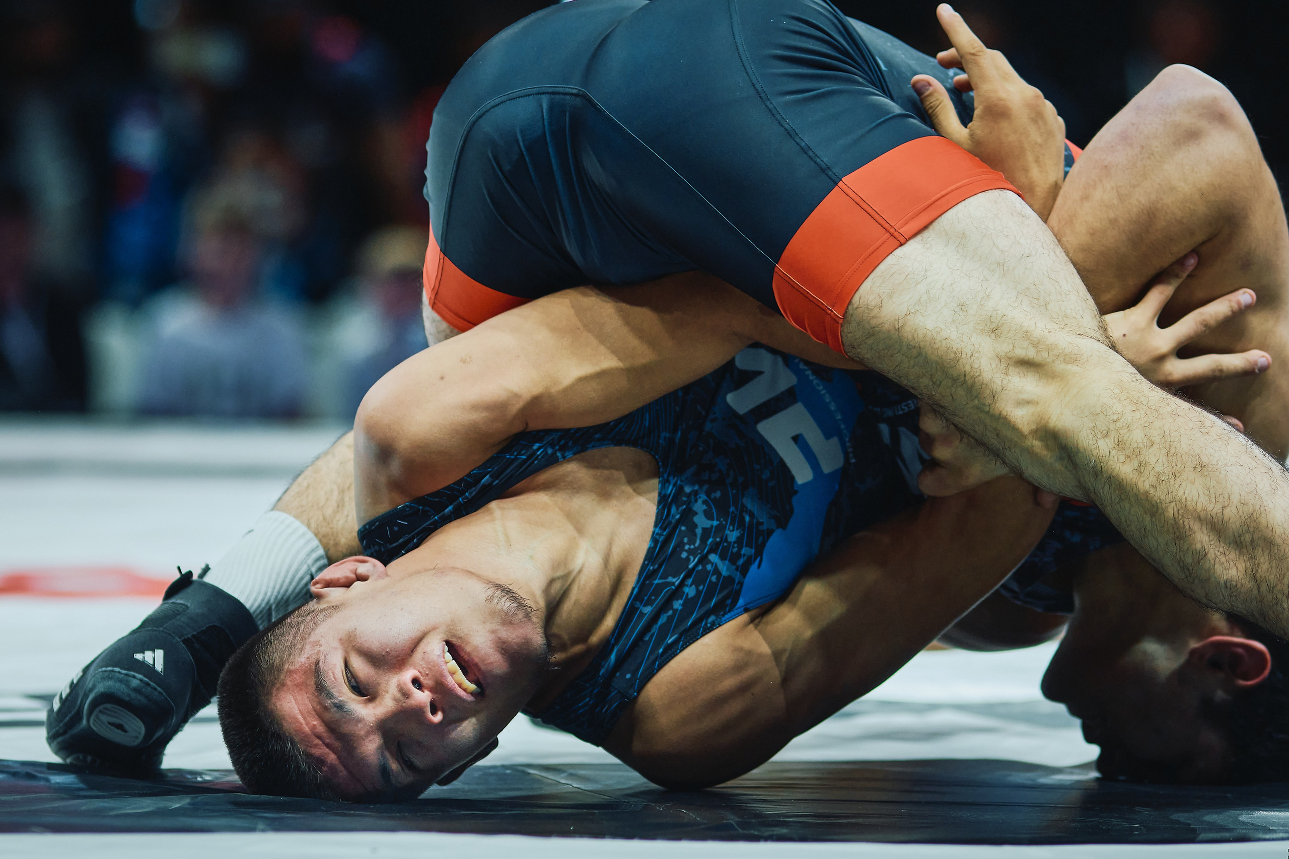 Турнир борцовской лиги PWL. Фотограф. г. Южно-Сахалинск. Олег Толстов