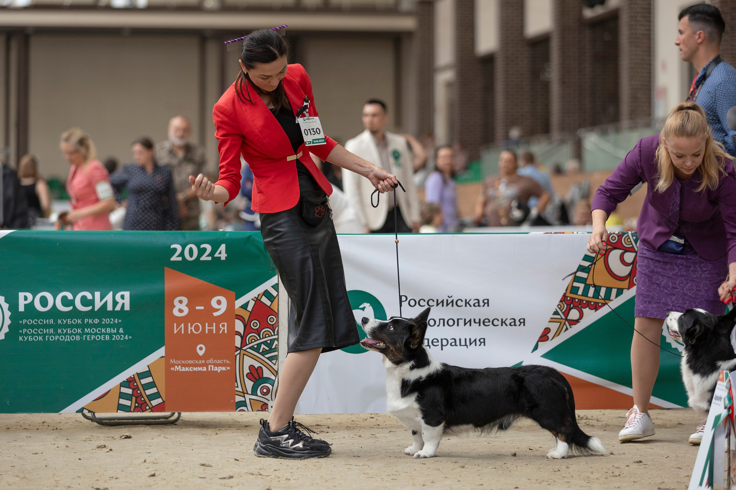 Россия 2024. Фотограф анималист, семейный фотограф, фотограф собак Комратова Мария. г. Москва