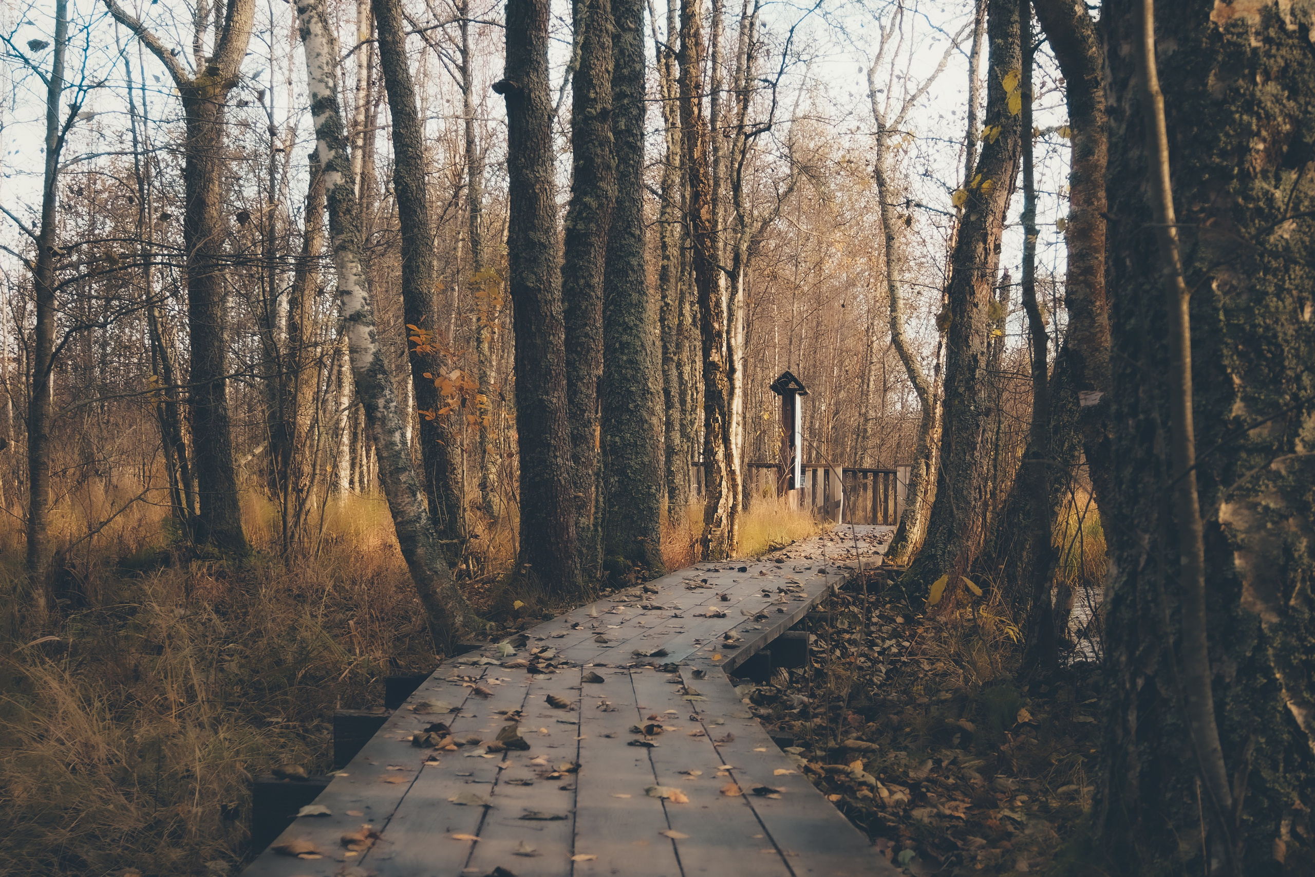 Раковые озера. Свадебный фотограф Копков Геннадий