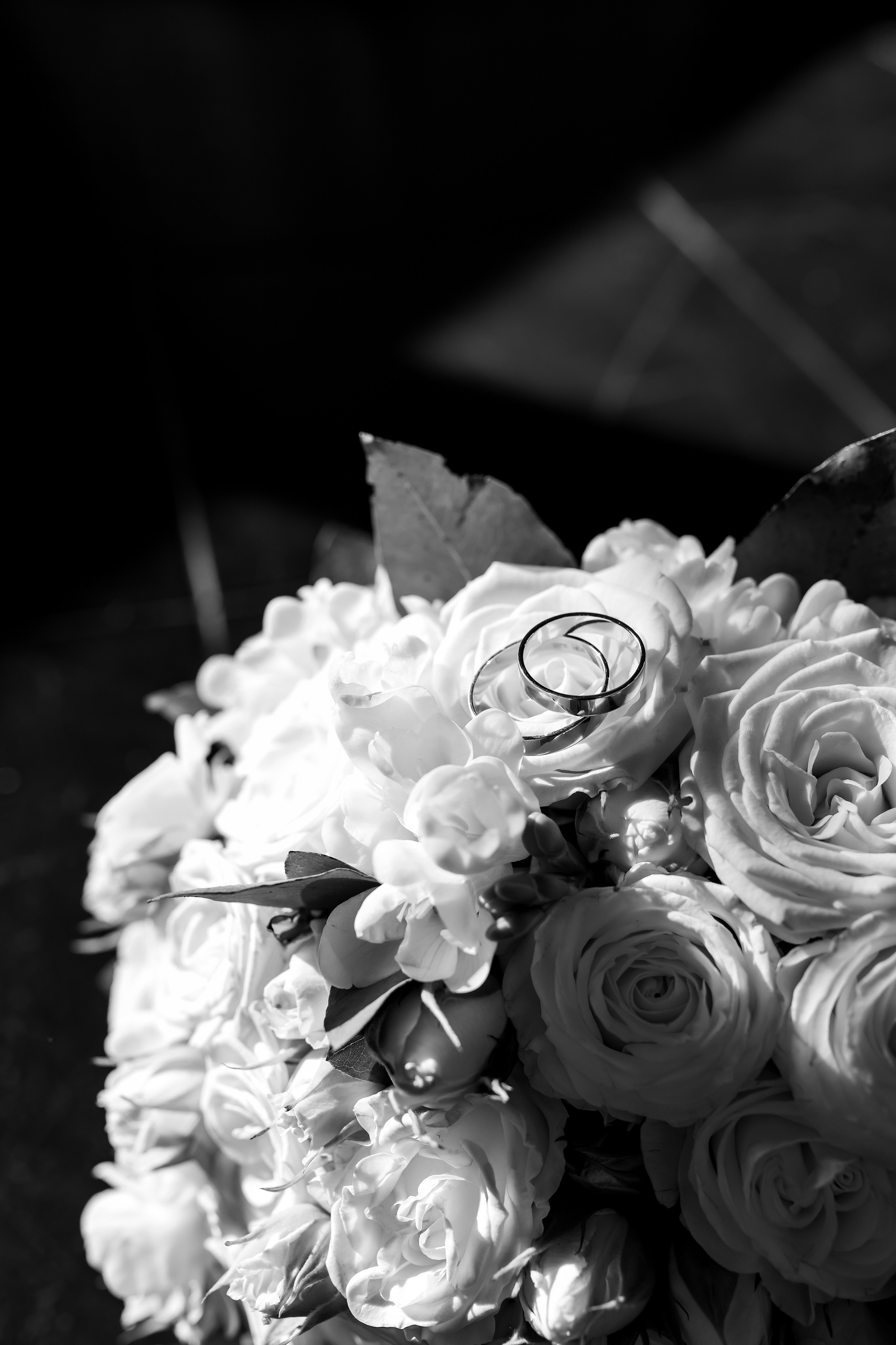 Иван & Вероника. Ксения Федорова — фотограф