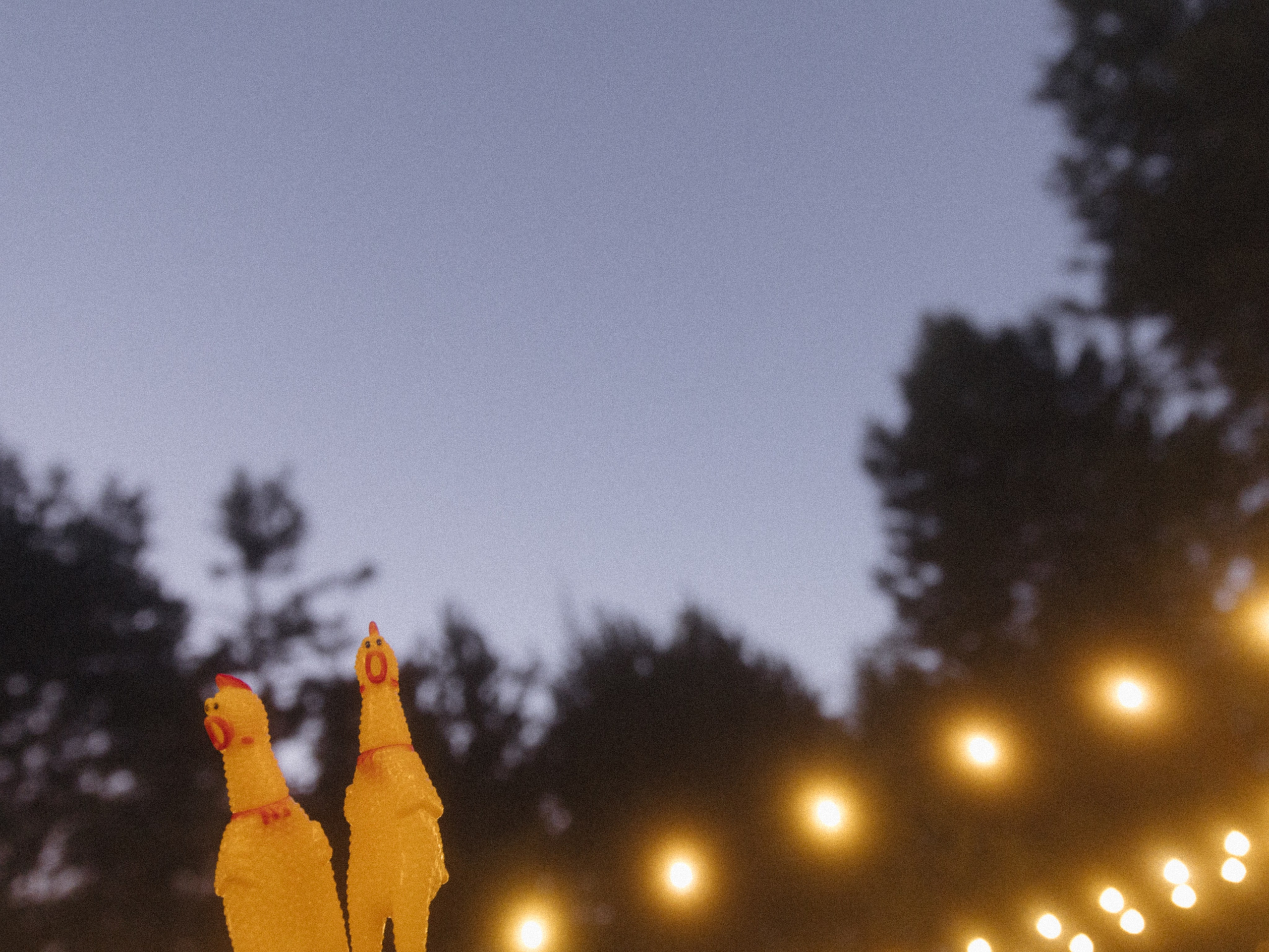 Анонс Wedding day Иван & Сабина. Свадебный фотограф Колесников Антон