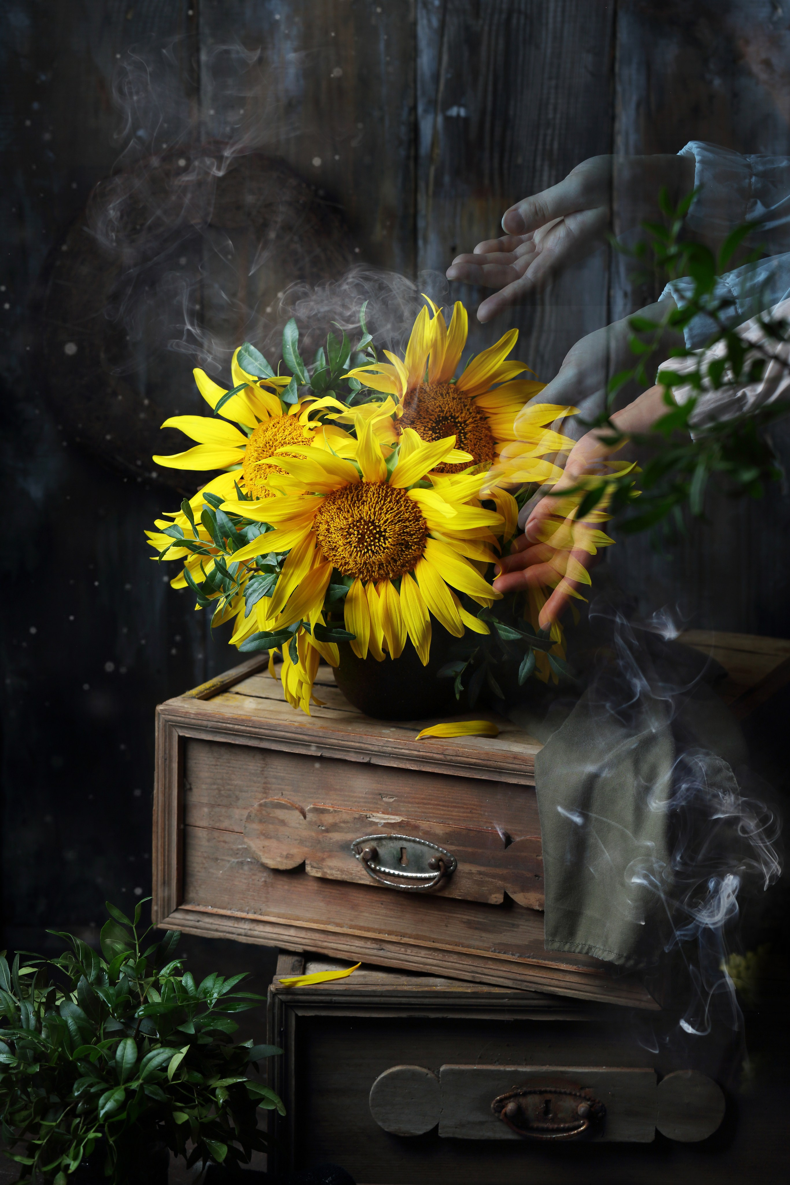 Творческие проекты. Фуд-фотограф Оксана Голева