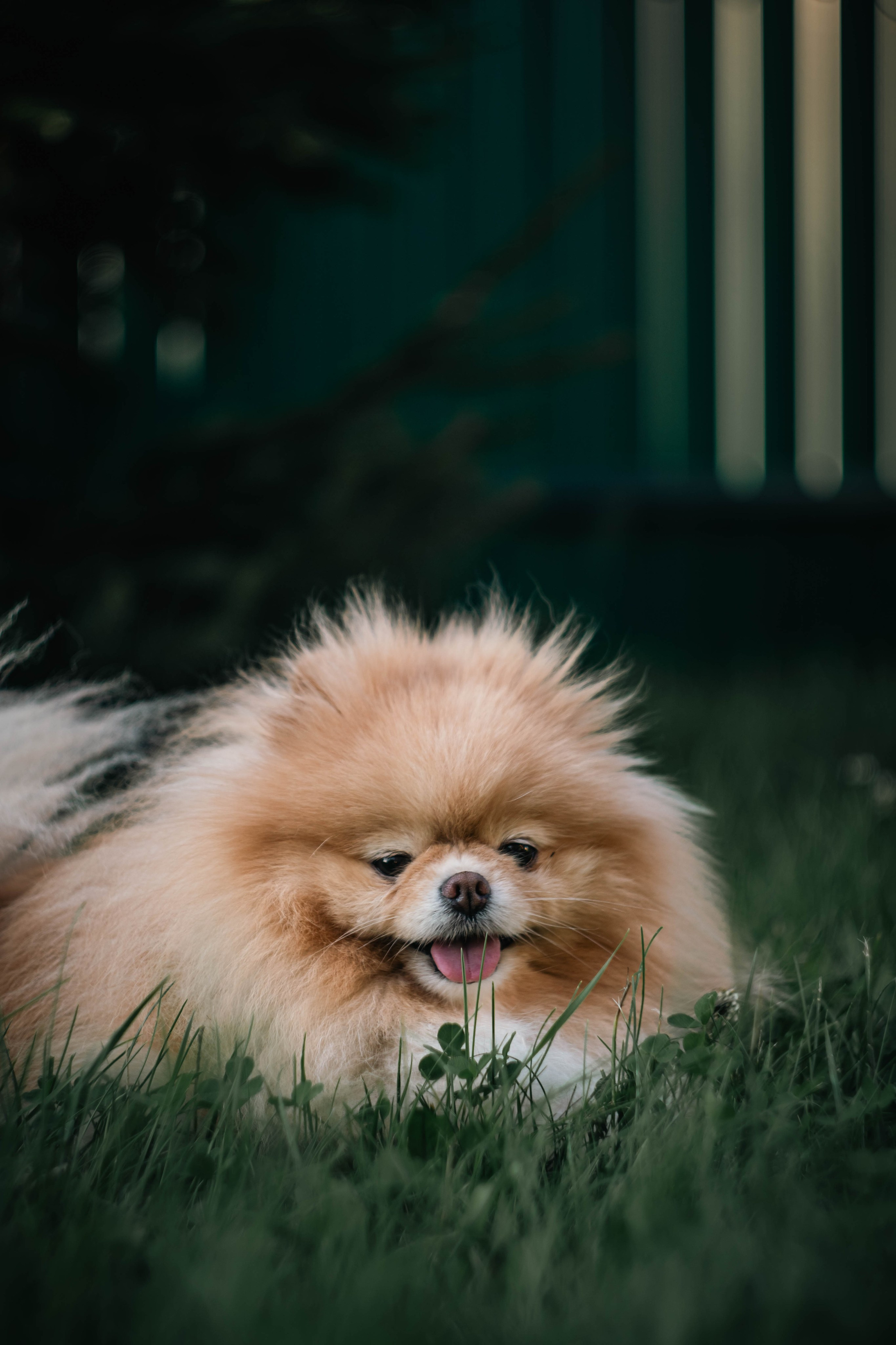 Без людей. Фотограф Крутой Максим
