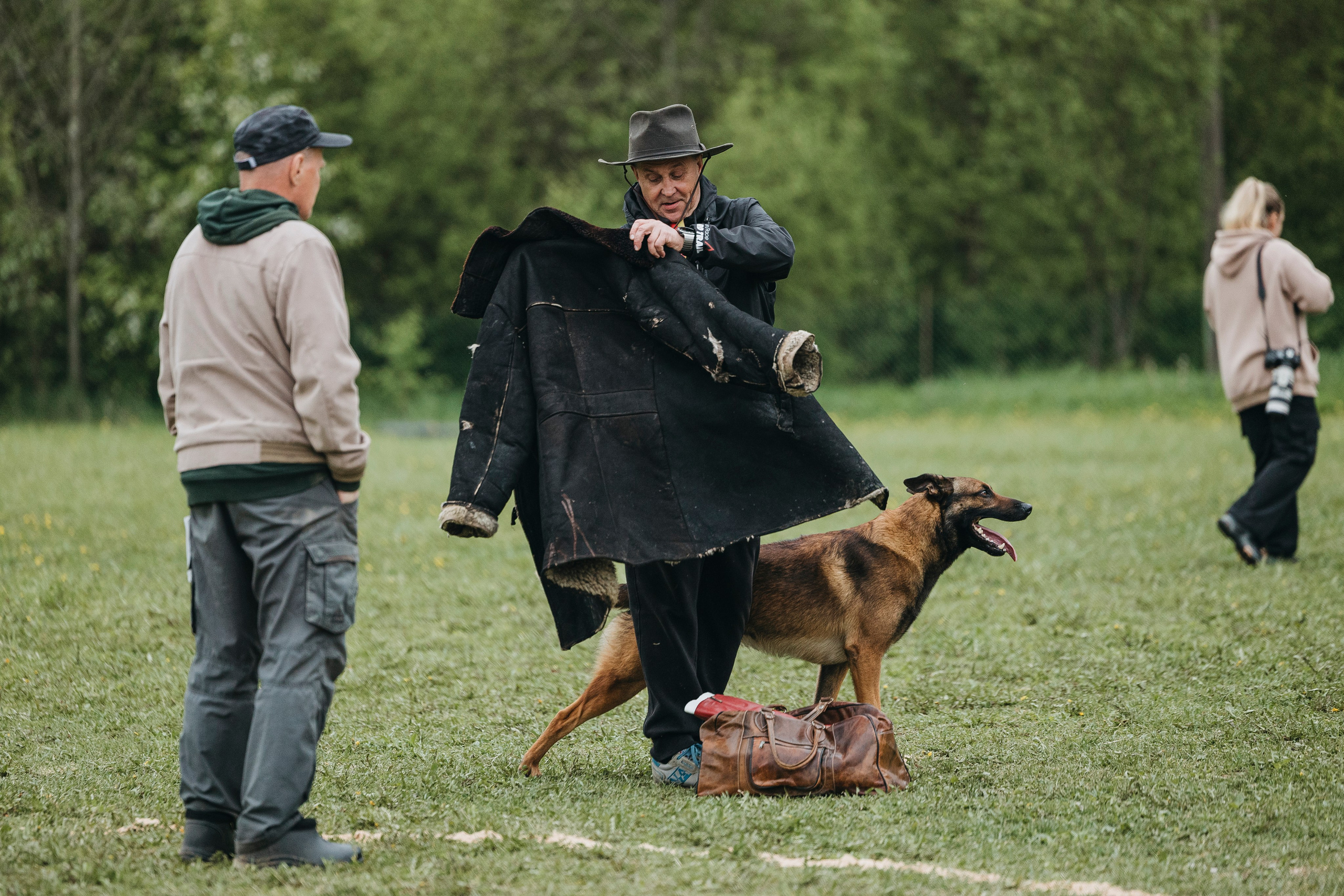 26.05.25 г. Пушкин квалификационные соревнования. Фотограф-анималист Анна Маринич
