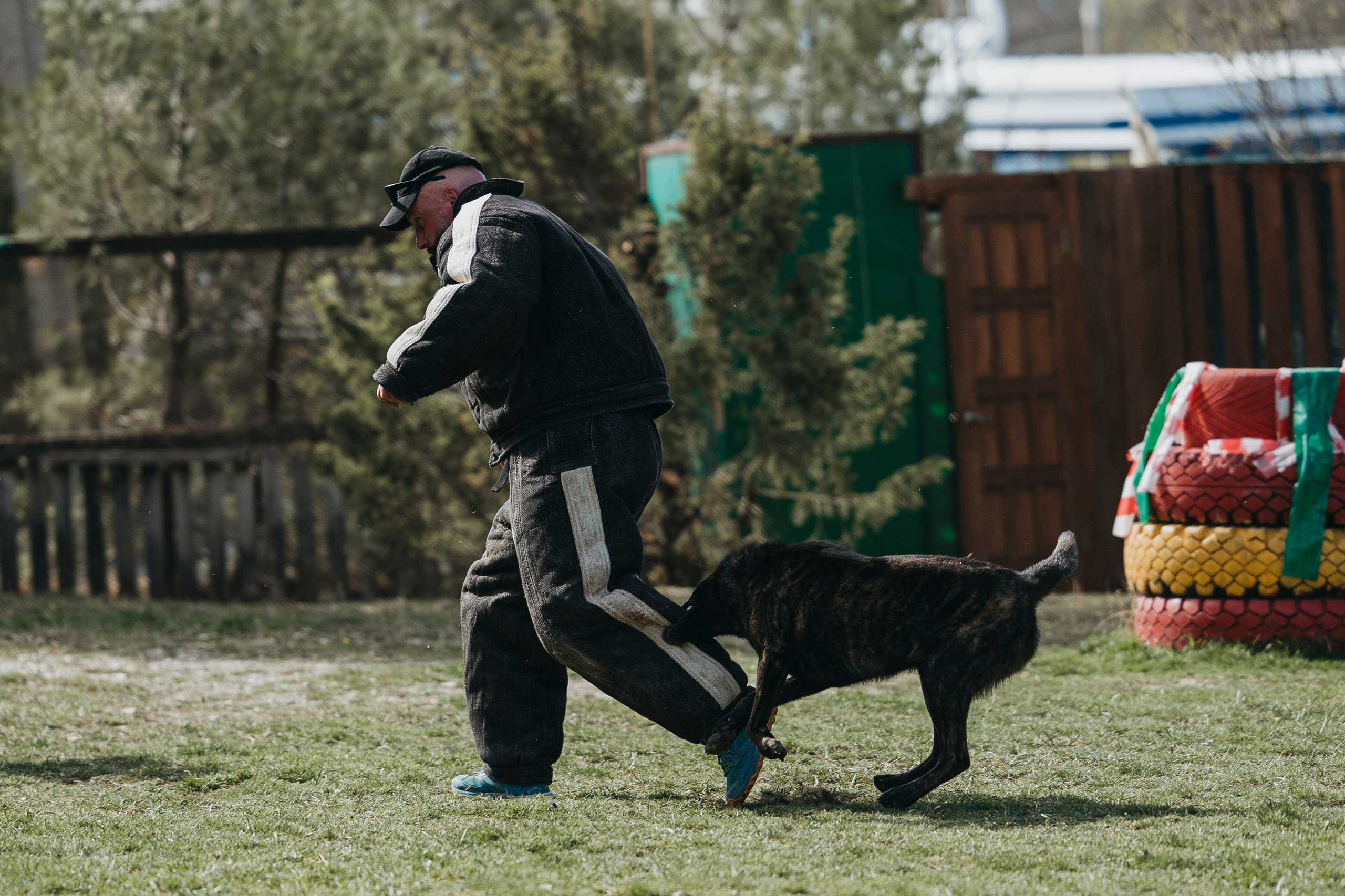 Геленджик Мондьоринг. Фотограф-анималист Анна Маринич