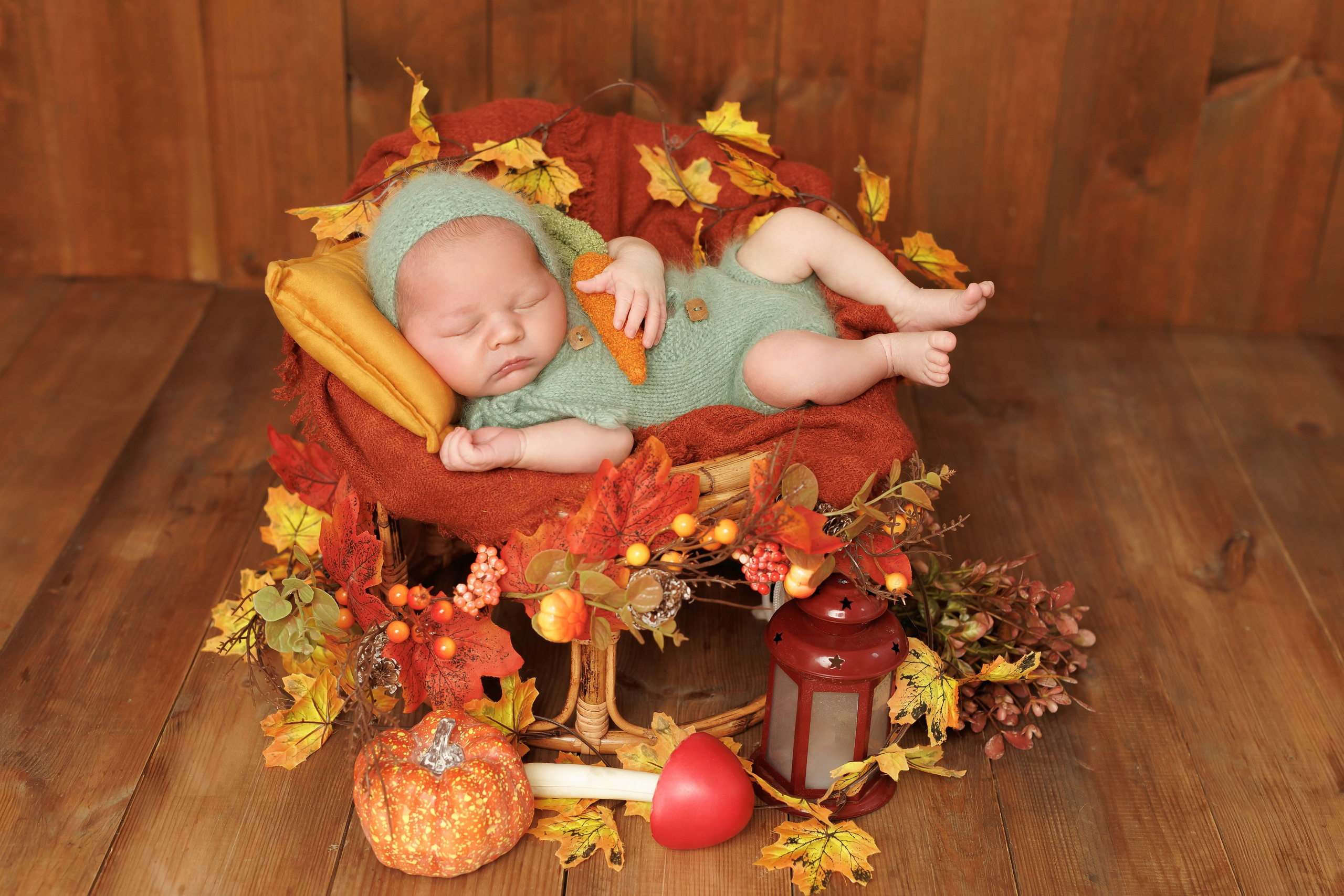 НОВОРОЖДЕННЫЕ. Фотограф новорожденных г. Тула