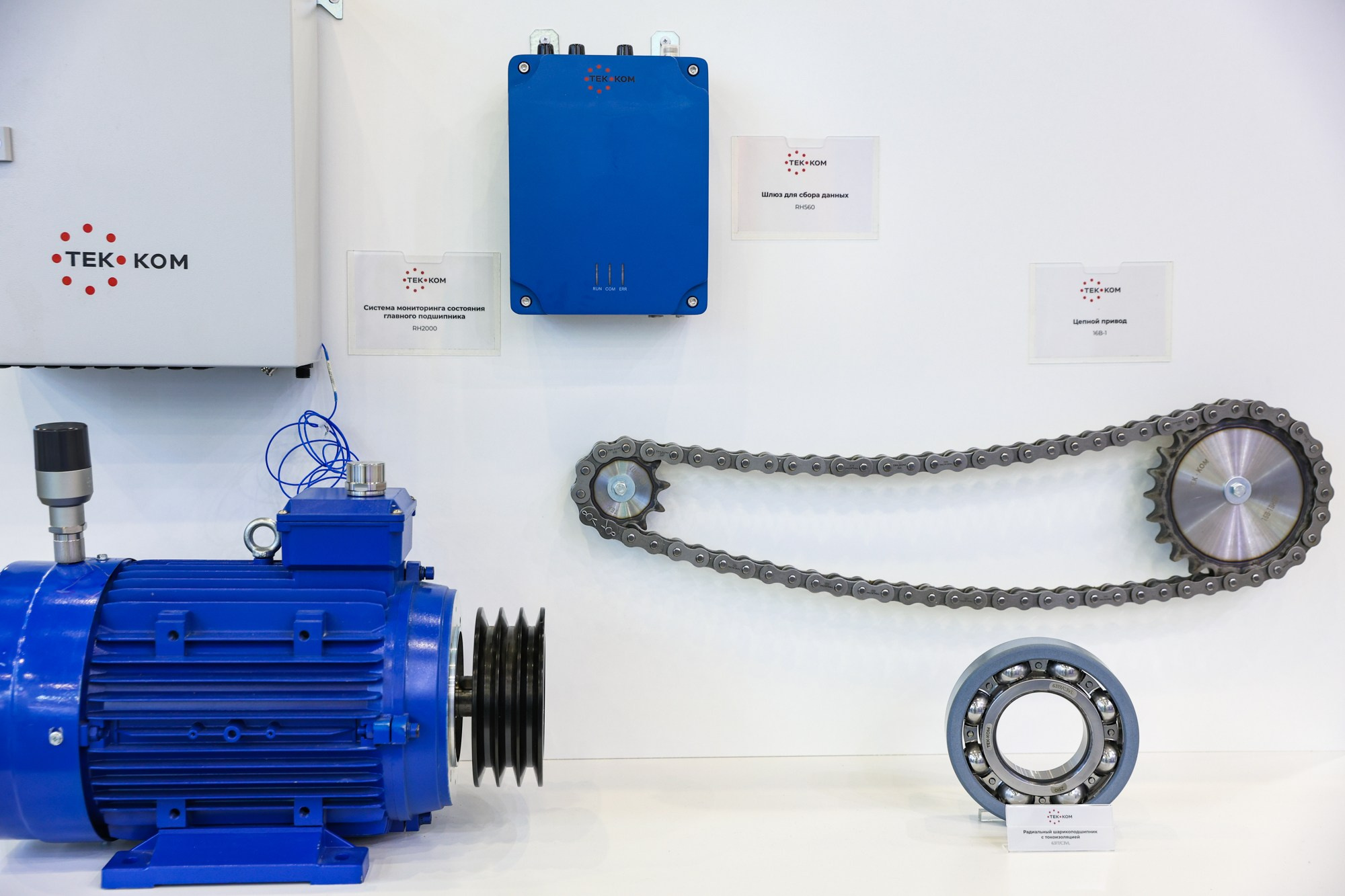 PulpFor 2024. Фотограф Дарья Попова