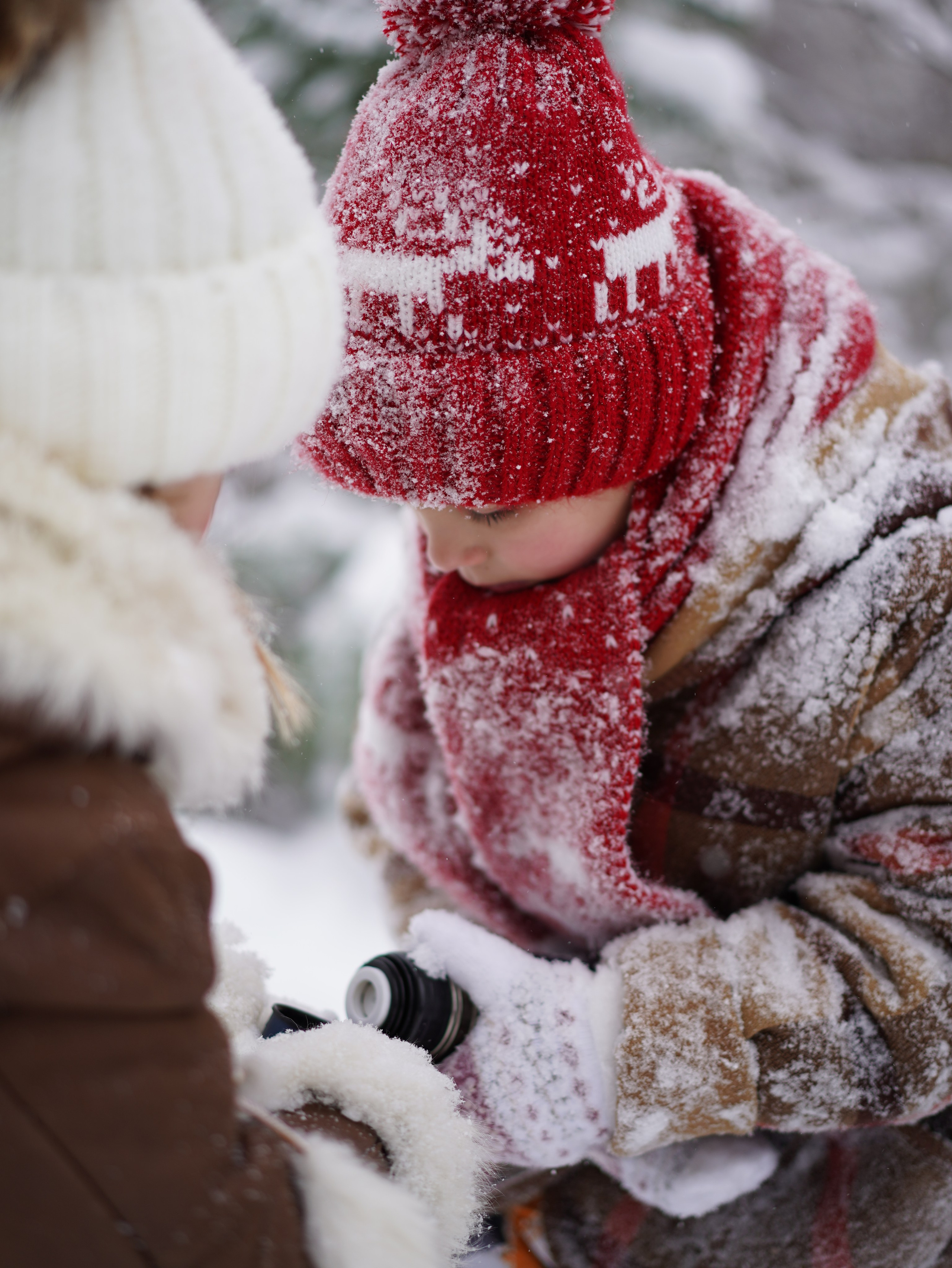 Съемка на природе и в городе. Семейный и портретный фотограф в Москве Яна Прасолова