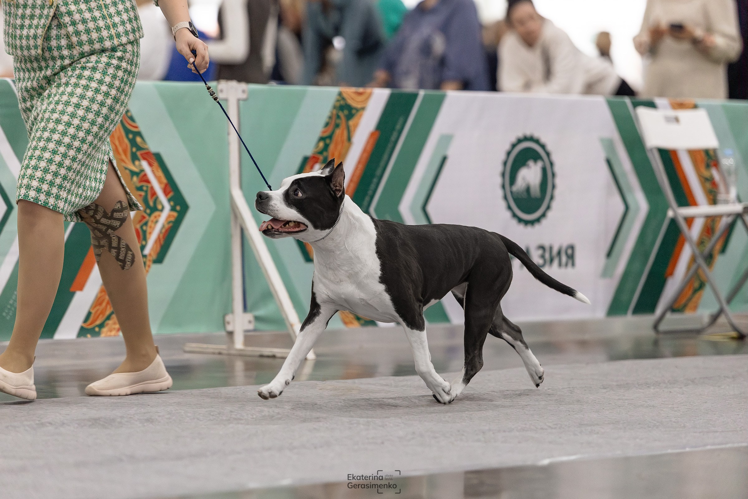 16–17 ноября 2024, Выставка ЕВРАЗИЯ, г. Москва. Htykk_photo