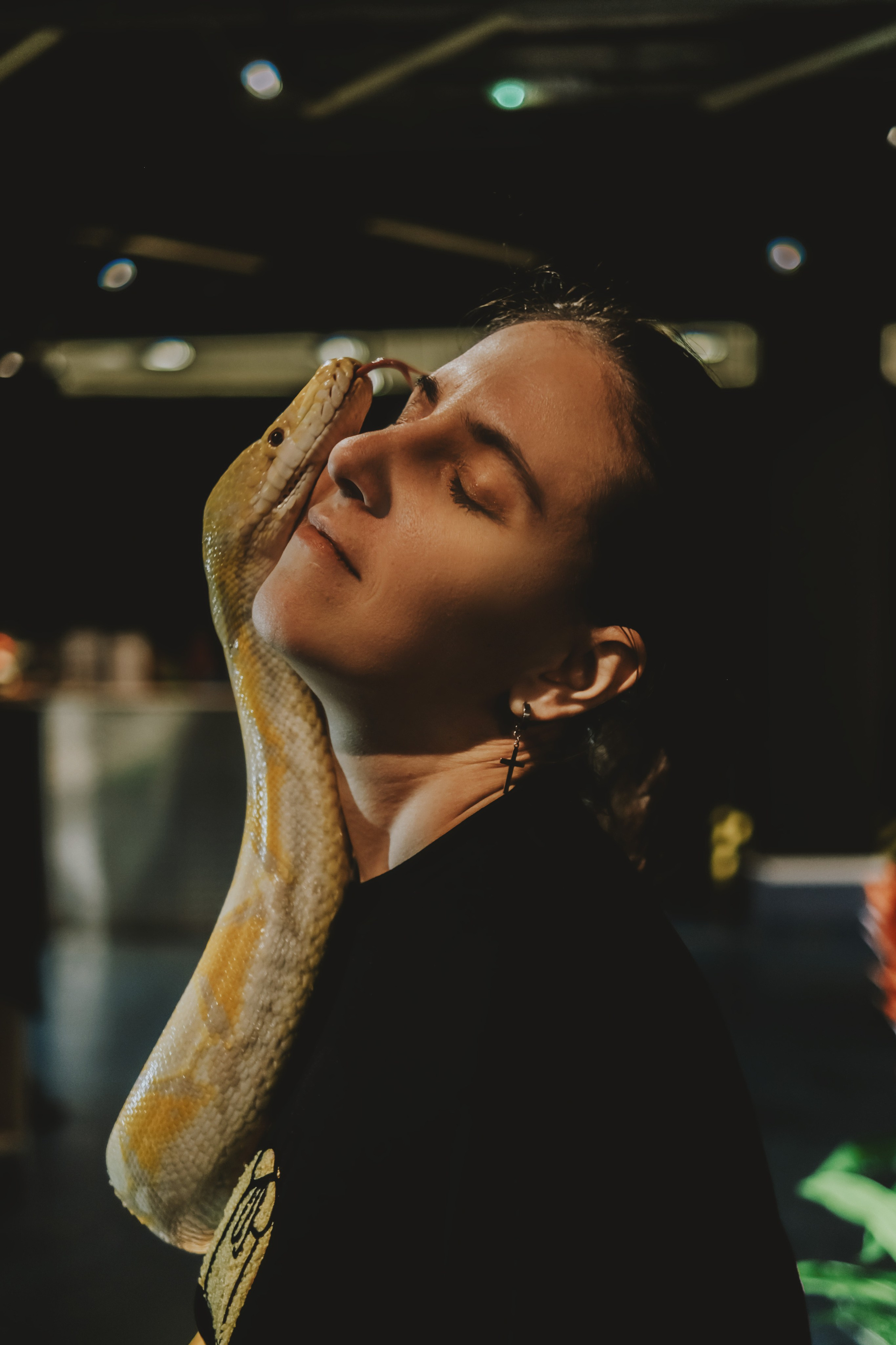 Дом Драконов. Nattie.ph