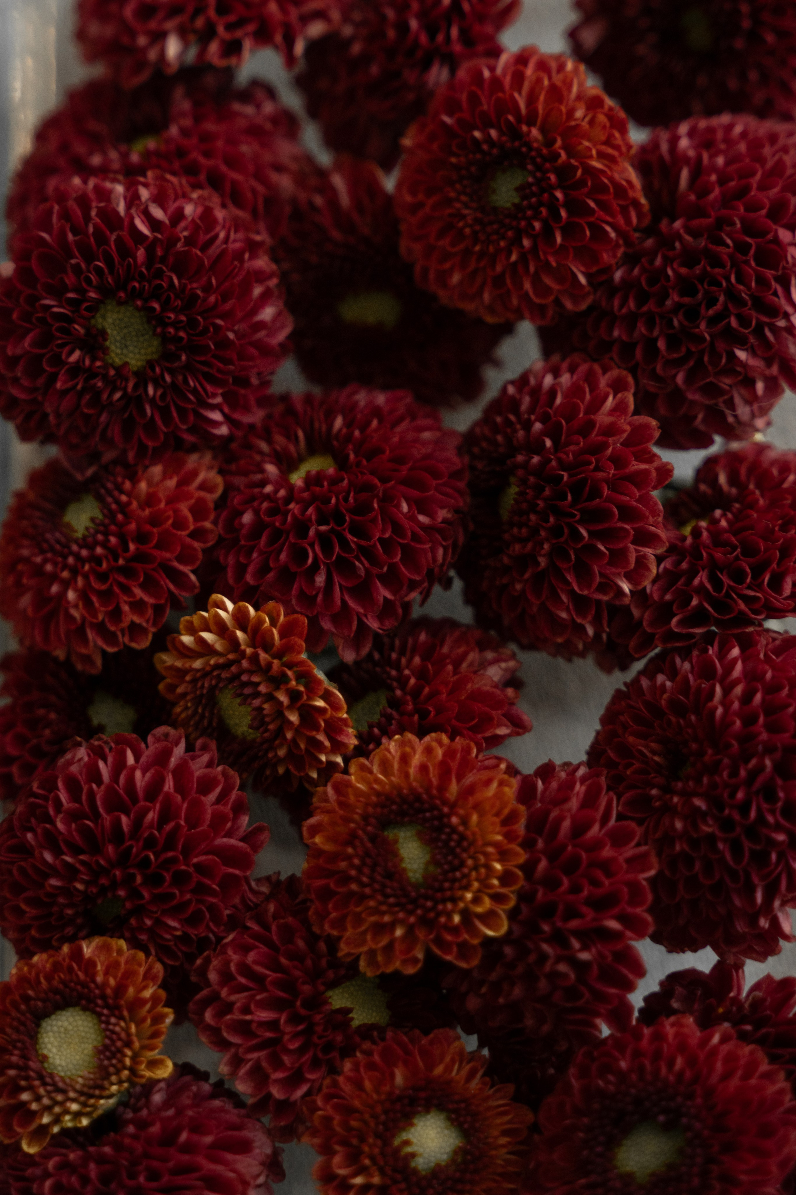 Кирилл и Настя. Свадебный фотограф Нижний Новгород, Москва