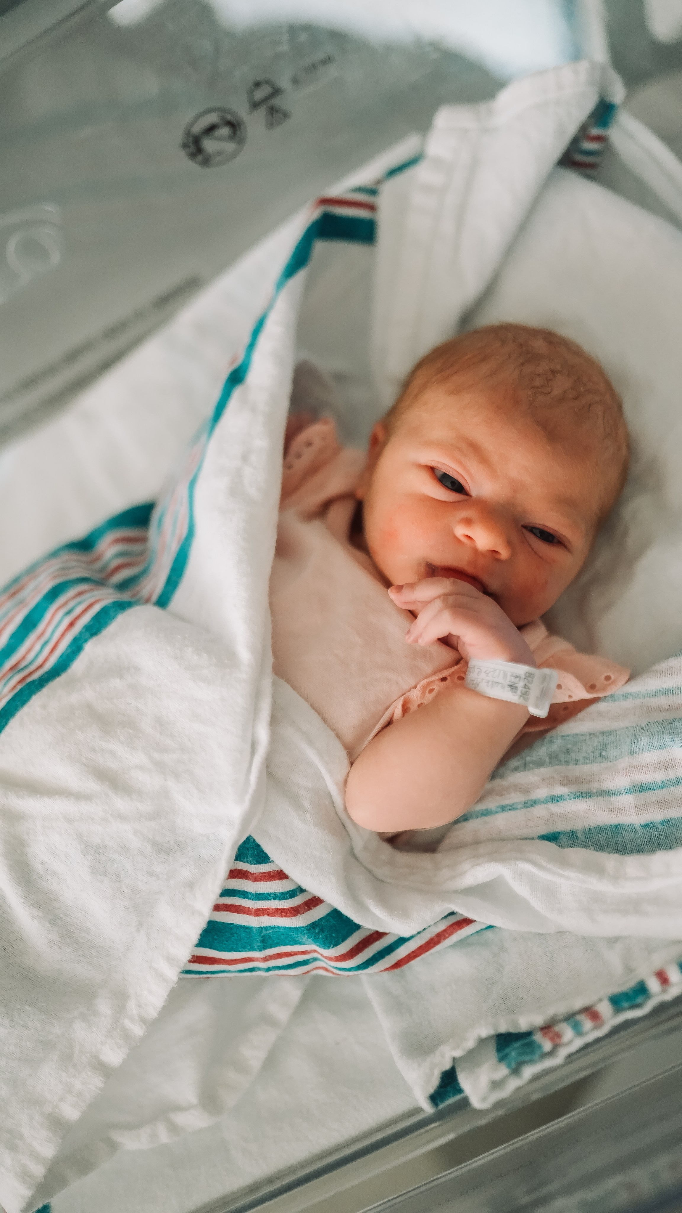 Fresh 24/48 newborn photos | First days in the hospital or at home | Anny Smirnova