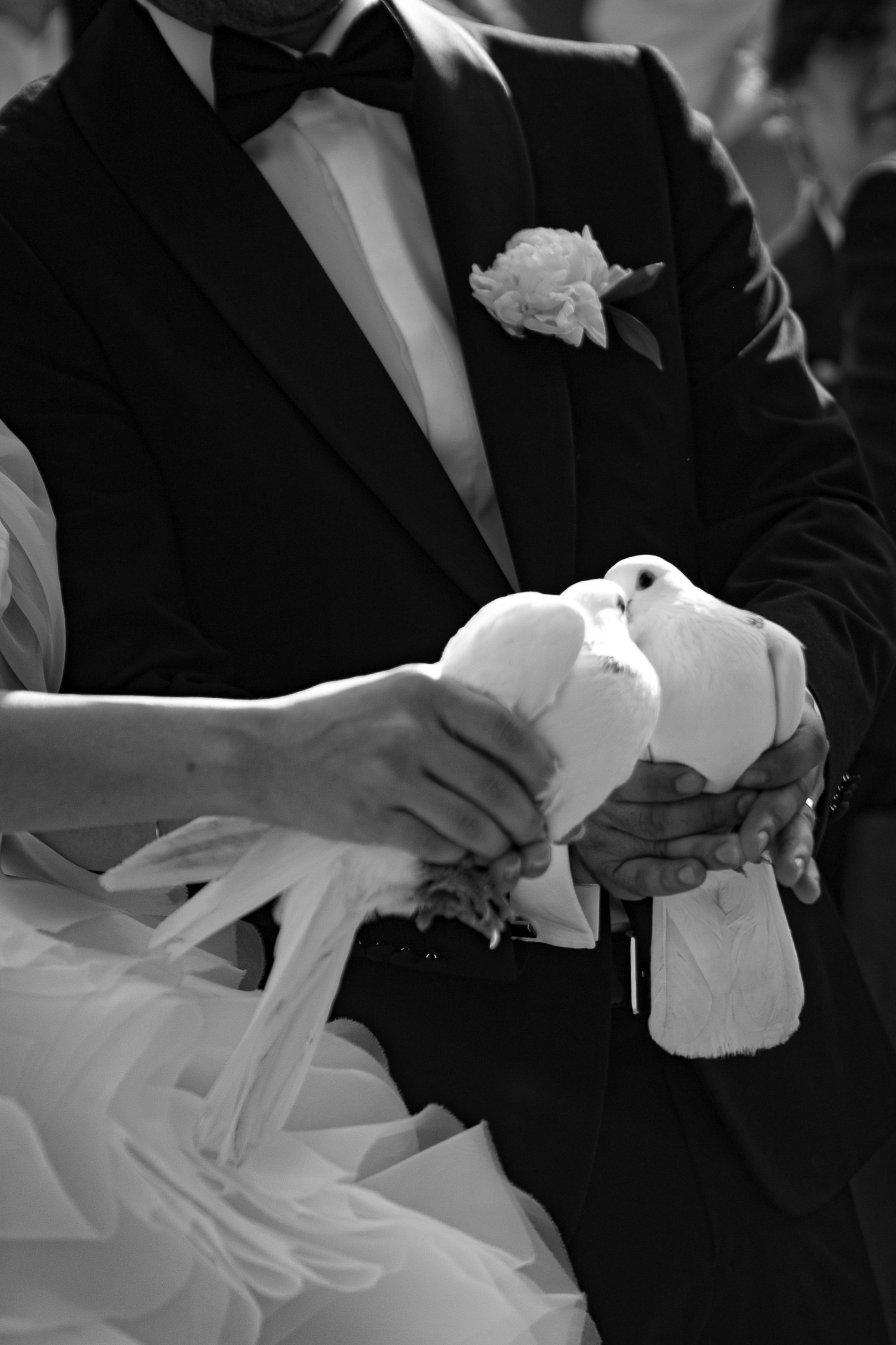 Жених/невеста