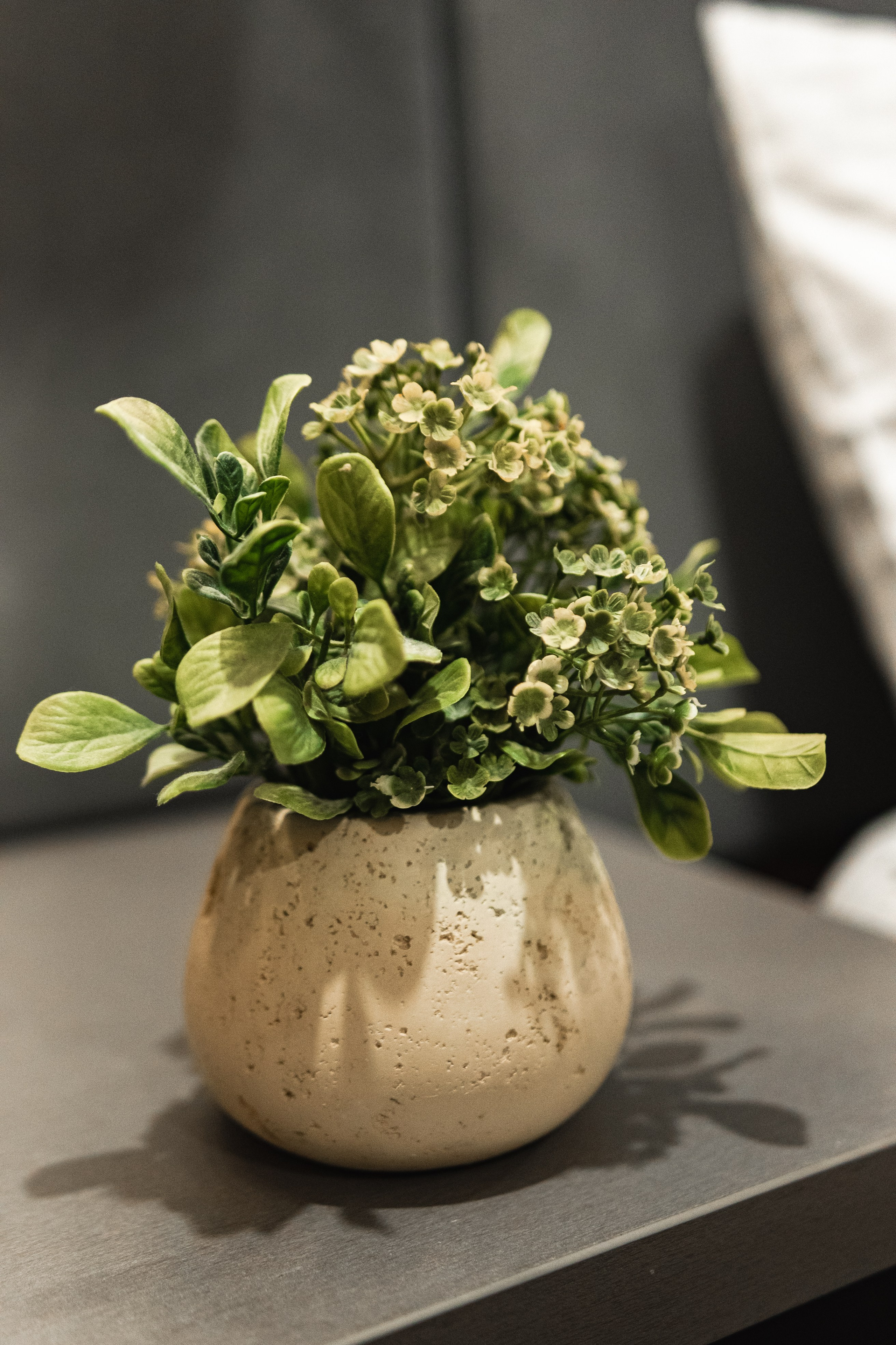 Апартаменты «Травертин». Фотограф Настя Конник | Пятигорск | Эльбрус | Домбай | Архыз