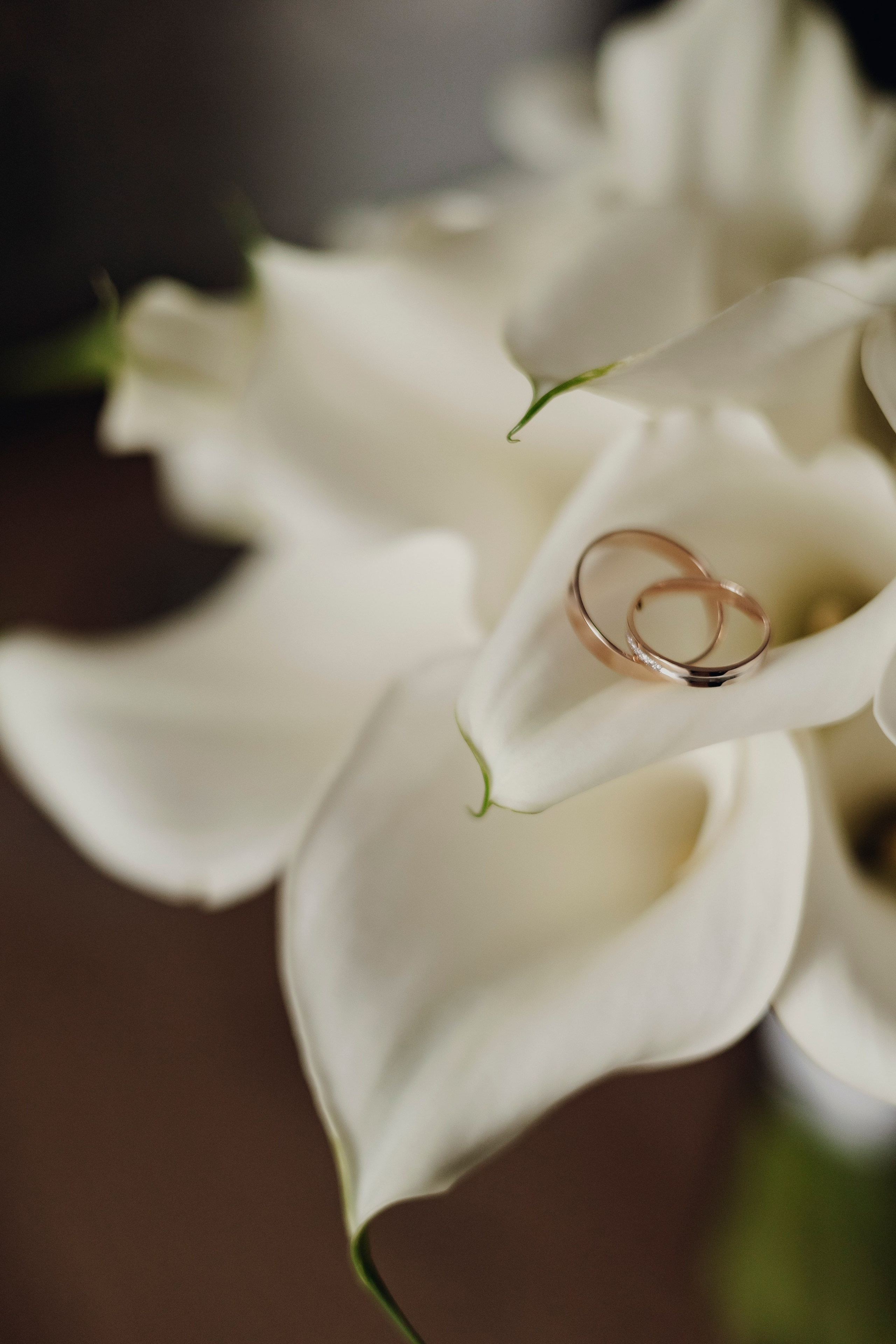 Свадебная съёмка Ижевск — Сарапул. Свадебный и портретный фотограф в Ижевске и Санкт-Петербурге Саша Брокколи