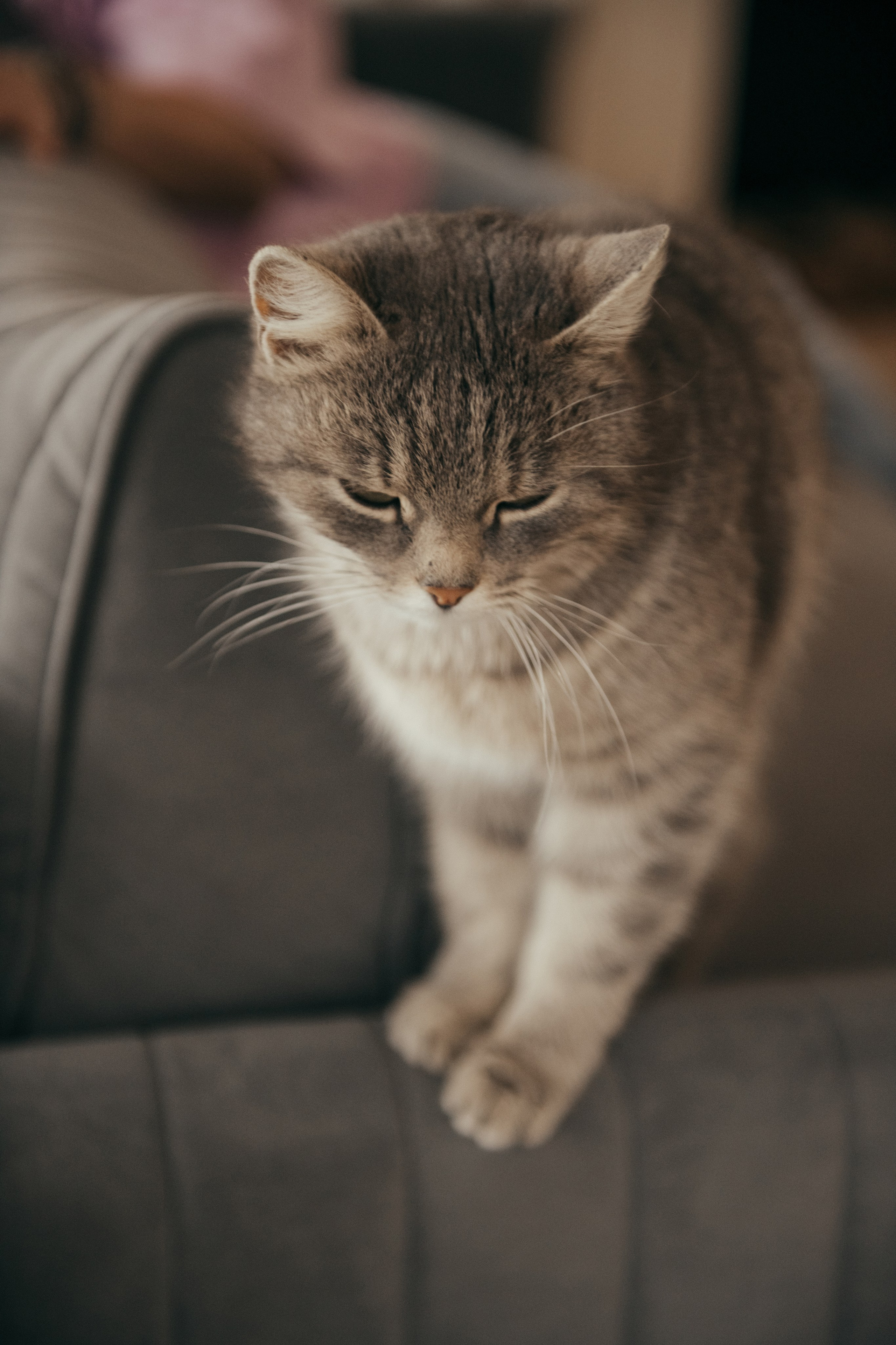 Я и мама. Свадебный и семейный фотограф Алиса Полякова |Старый Оскол | Воронеж