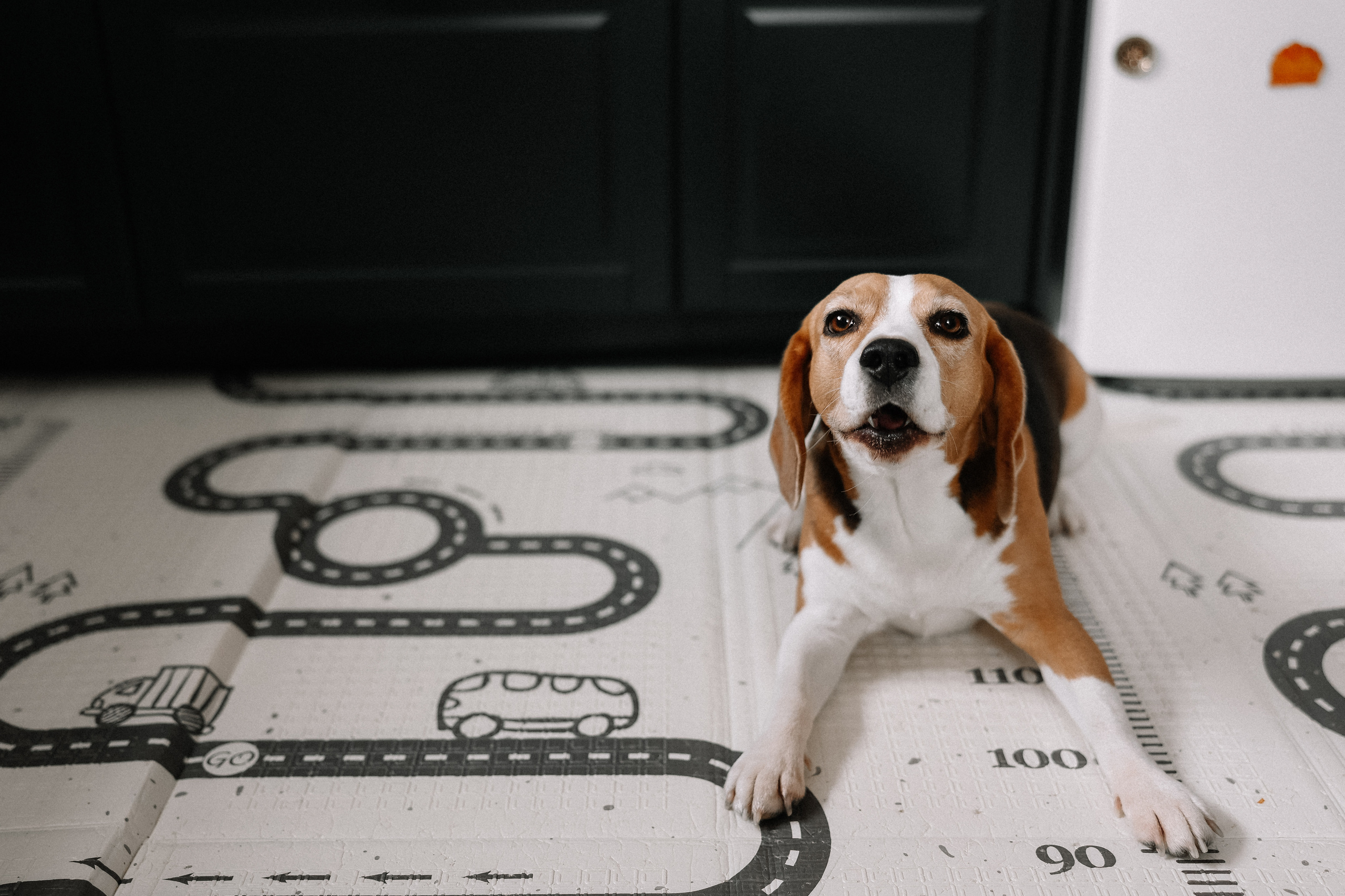 Ира, Тёма и Сергей + Язык:). Свадебный и семейный Фотограф Денис Кошель