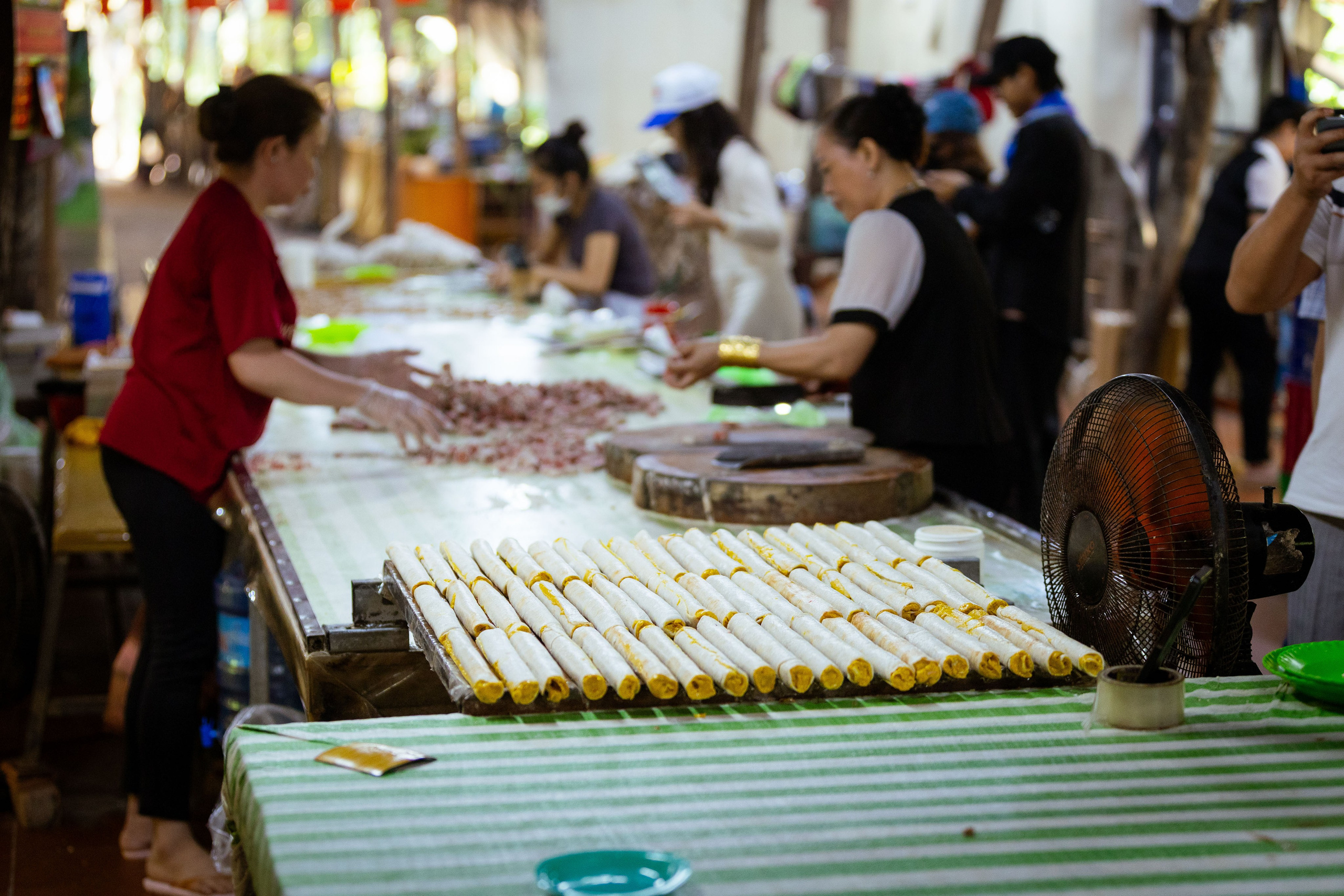 Вьетнам (зима 2025-2026). Фотограф Виноградов Константин