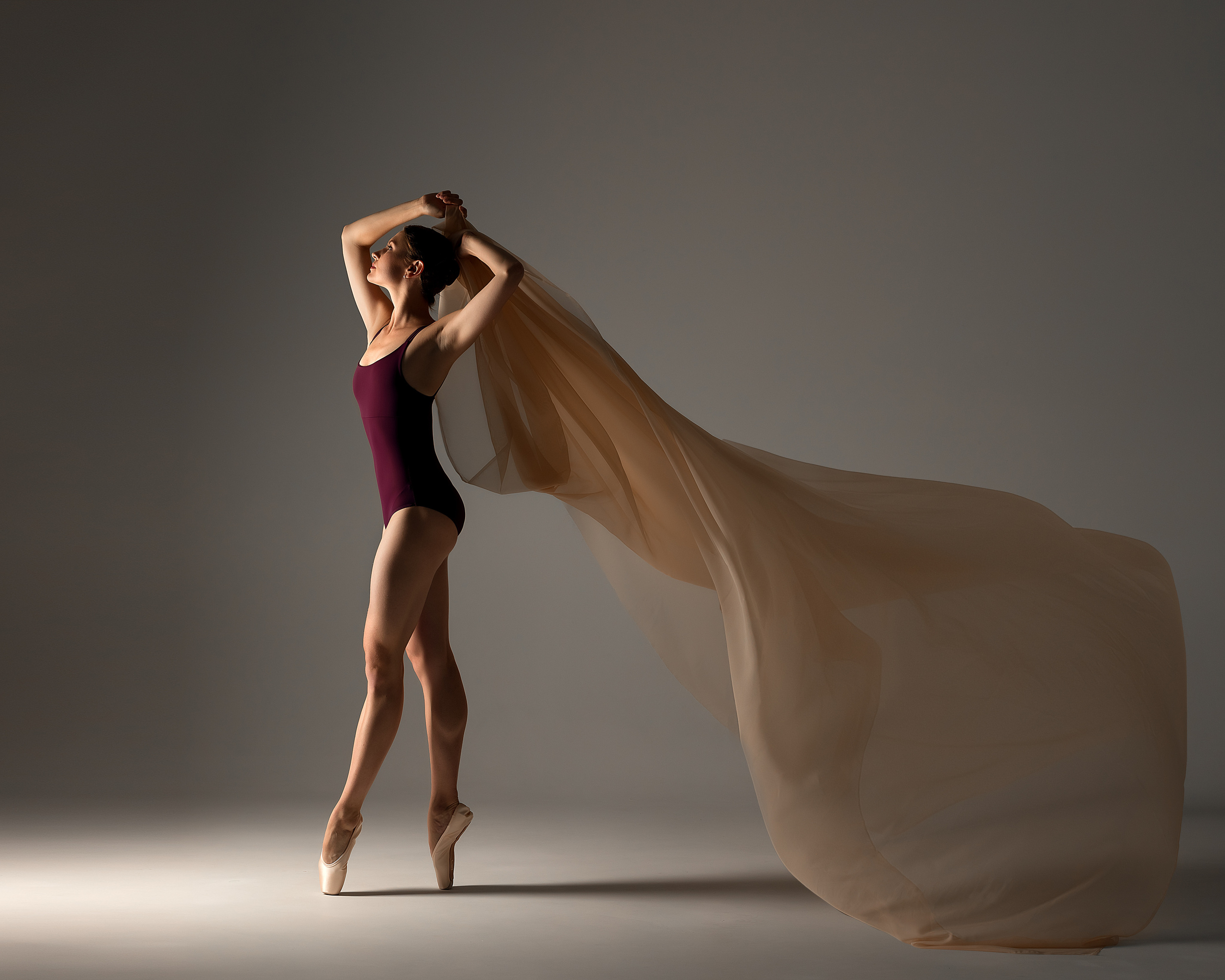 Балерина. Детский и семейный фотограф в Челябинске Мандрикова Светлана