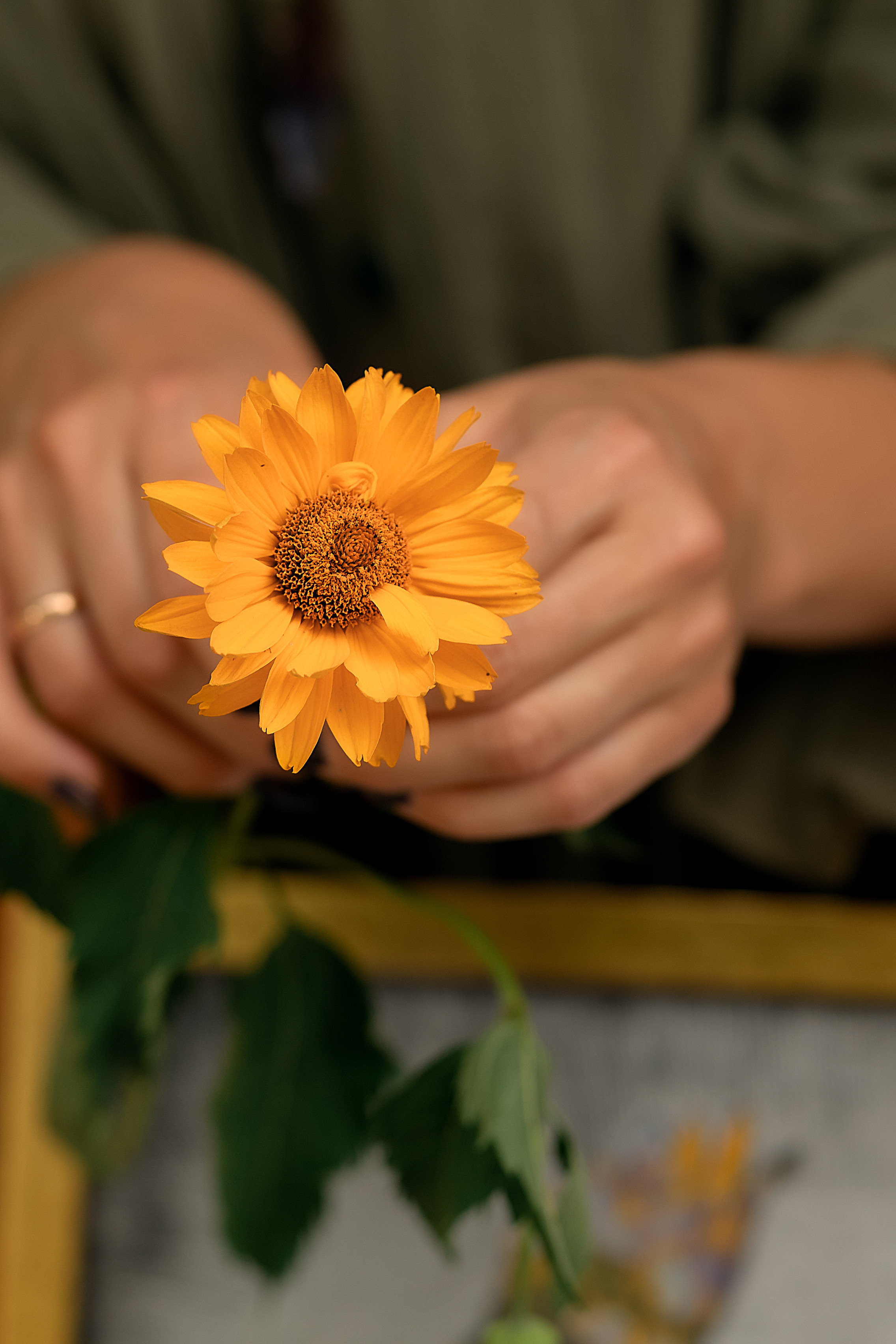 Один день в Непряхино. Детский и семейный фотограф в Челябинске Мандрикова Светлана
