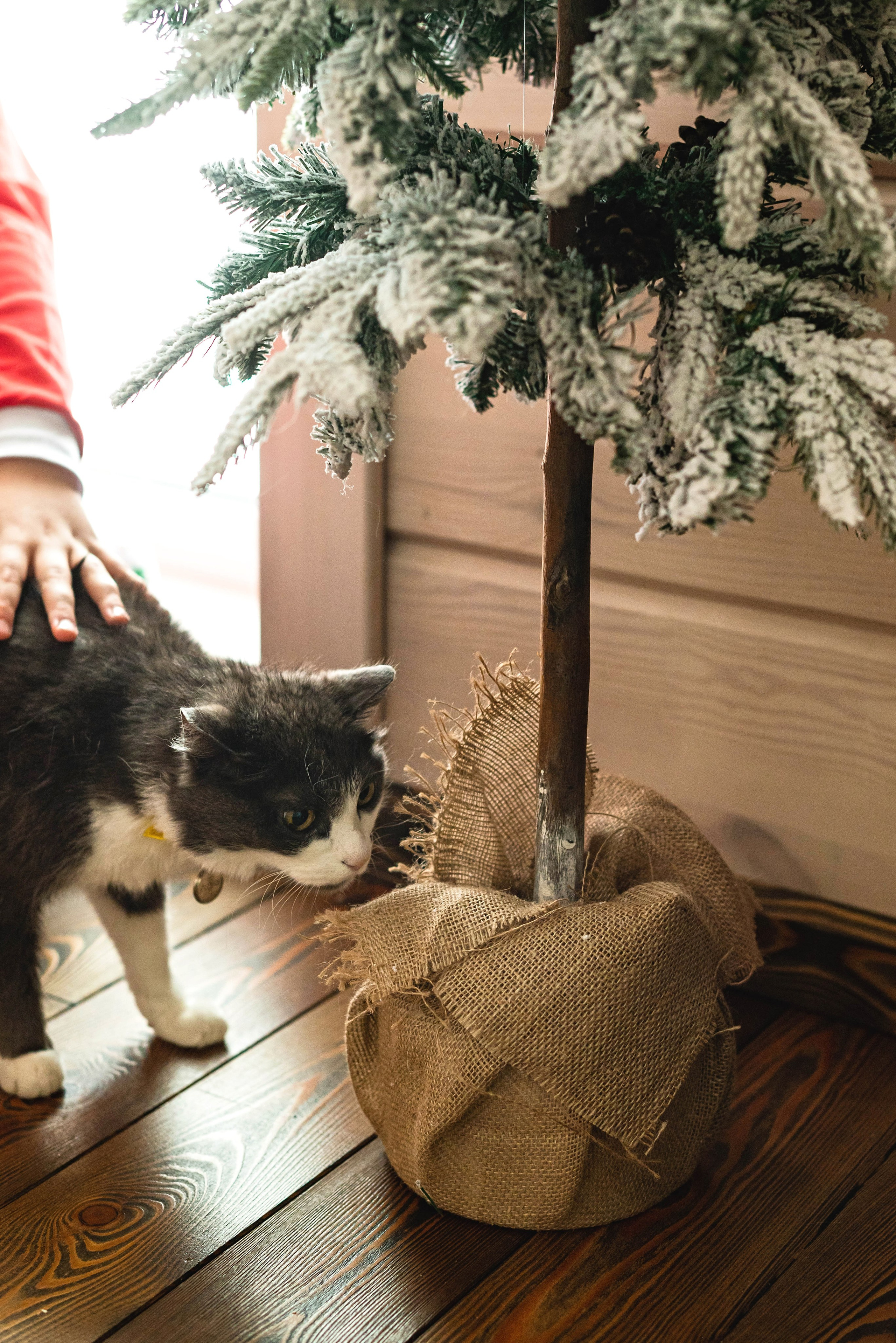Это чудное зимнее время. Свадебный и семейный фотограф в Новосибирске, Санкт-Петербурге, Москве
