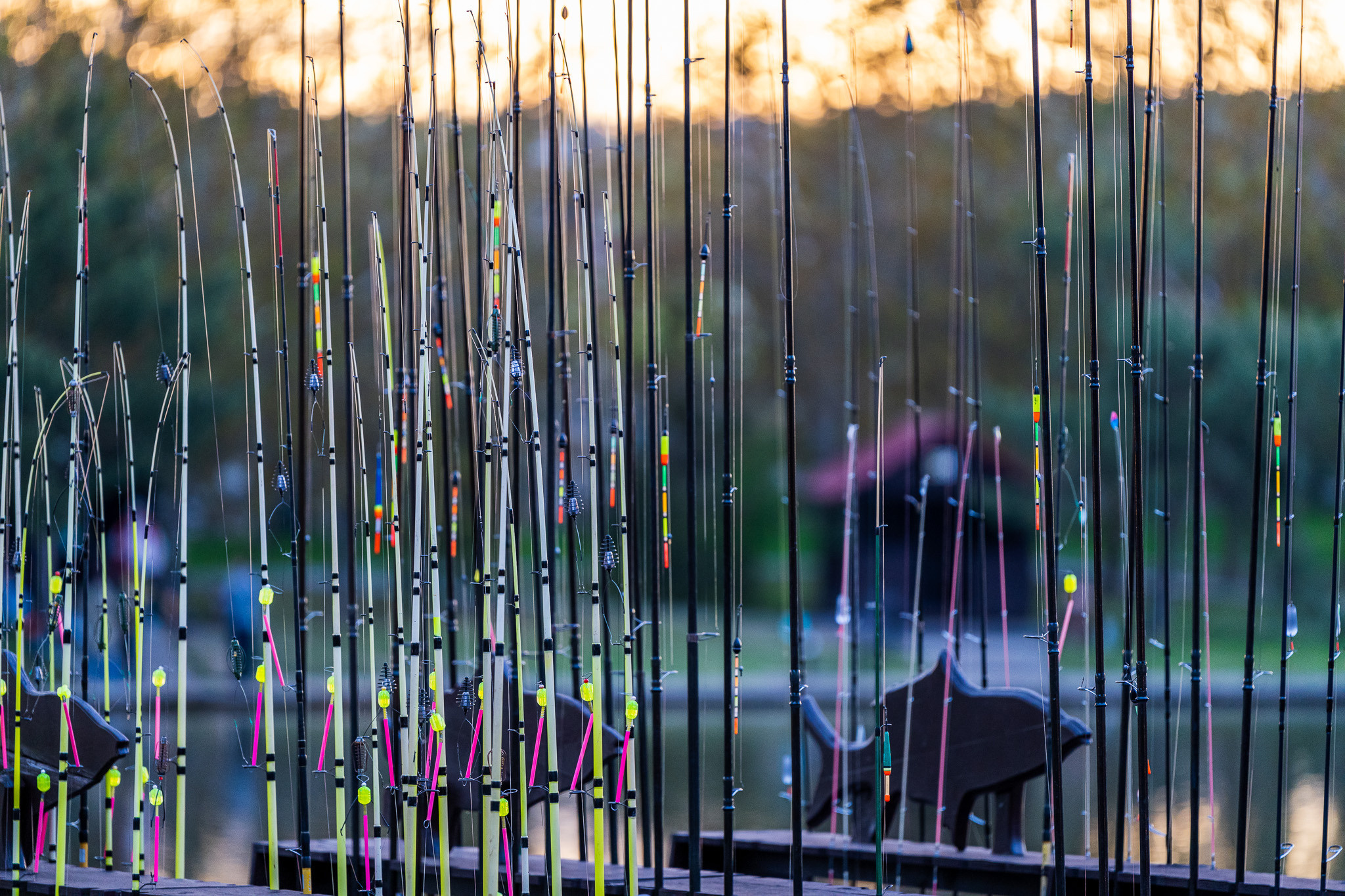 Стоящие удочки на берегу