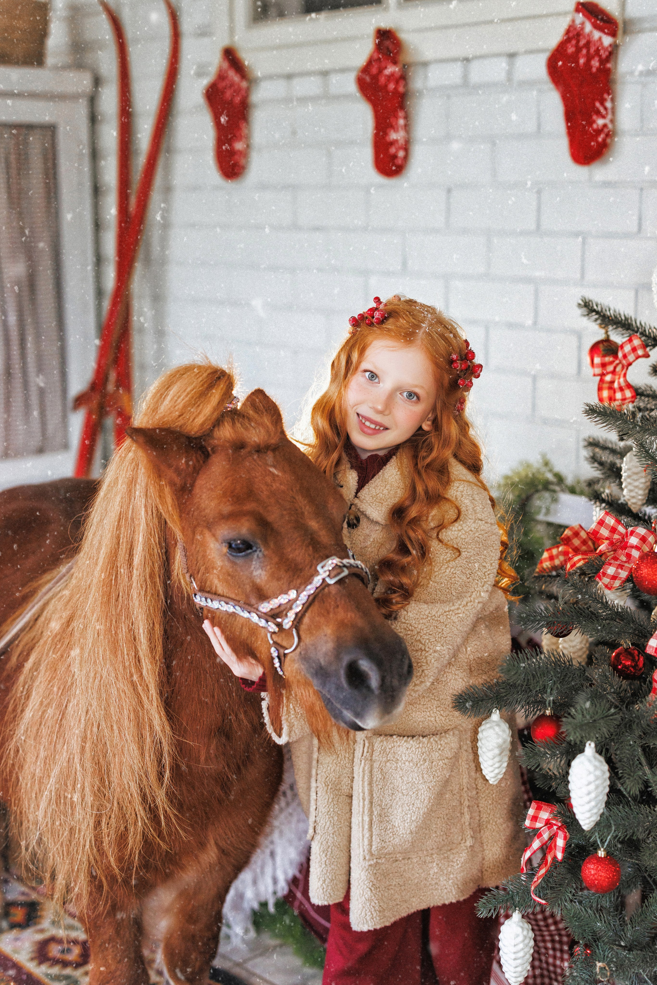Новогодняя фотосессия с Рыжим пони, город Краснодар. Семейный и детский фотограф в Краснодаре Анна Трашкова