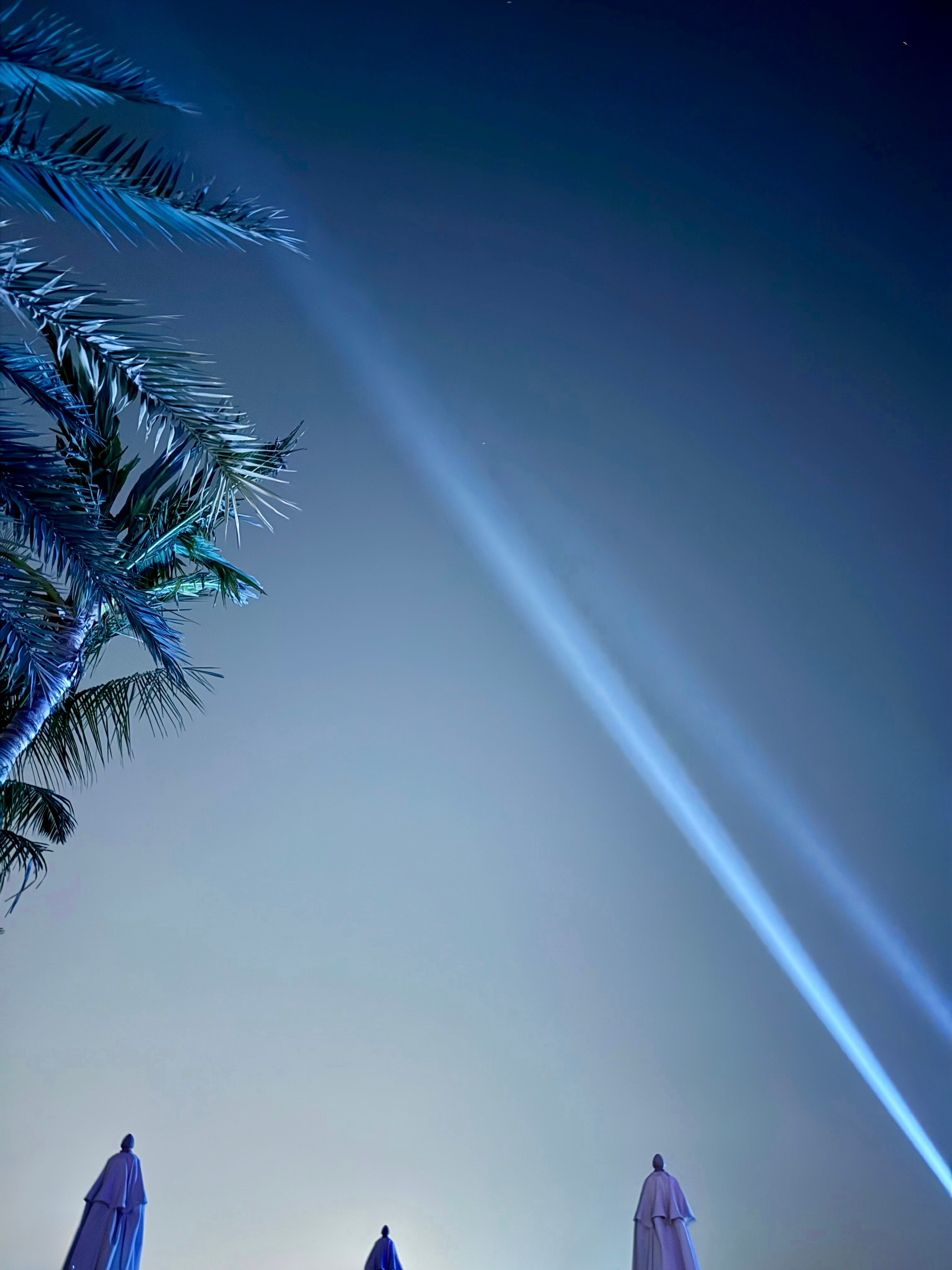 Фотограф Москва. Фотограф и художник в Москве Евгения Нюнина