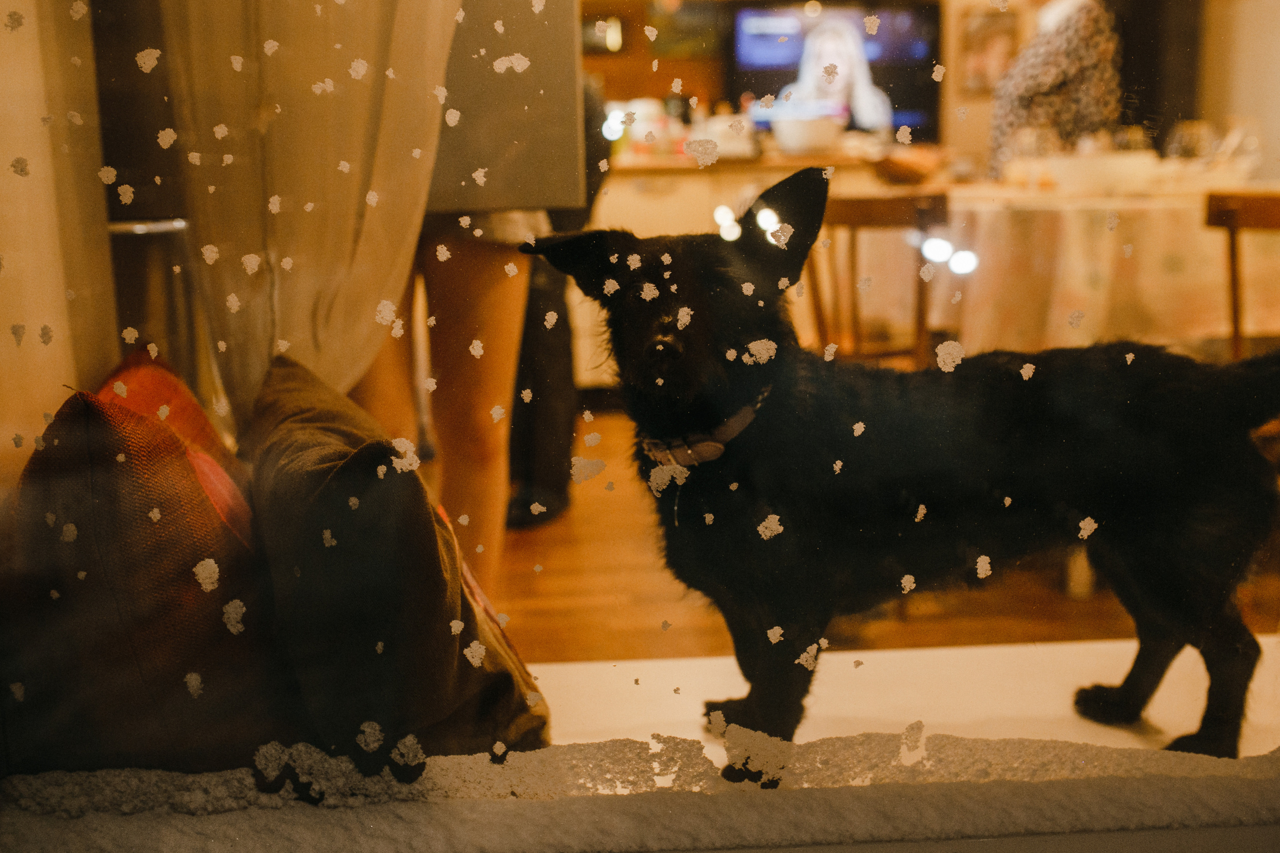 Семейная. Фотограф в Новосибирске Ася Зверева