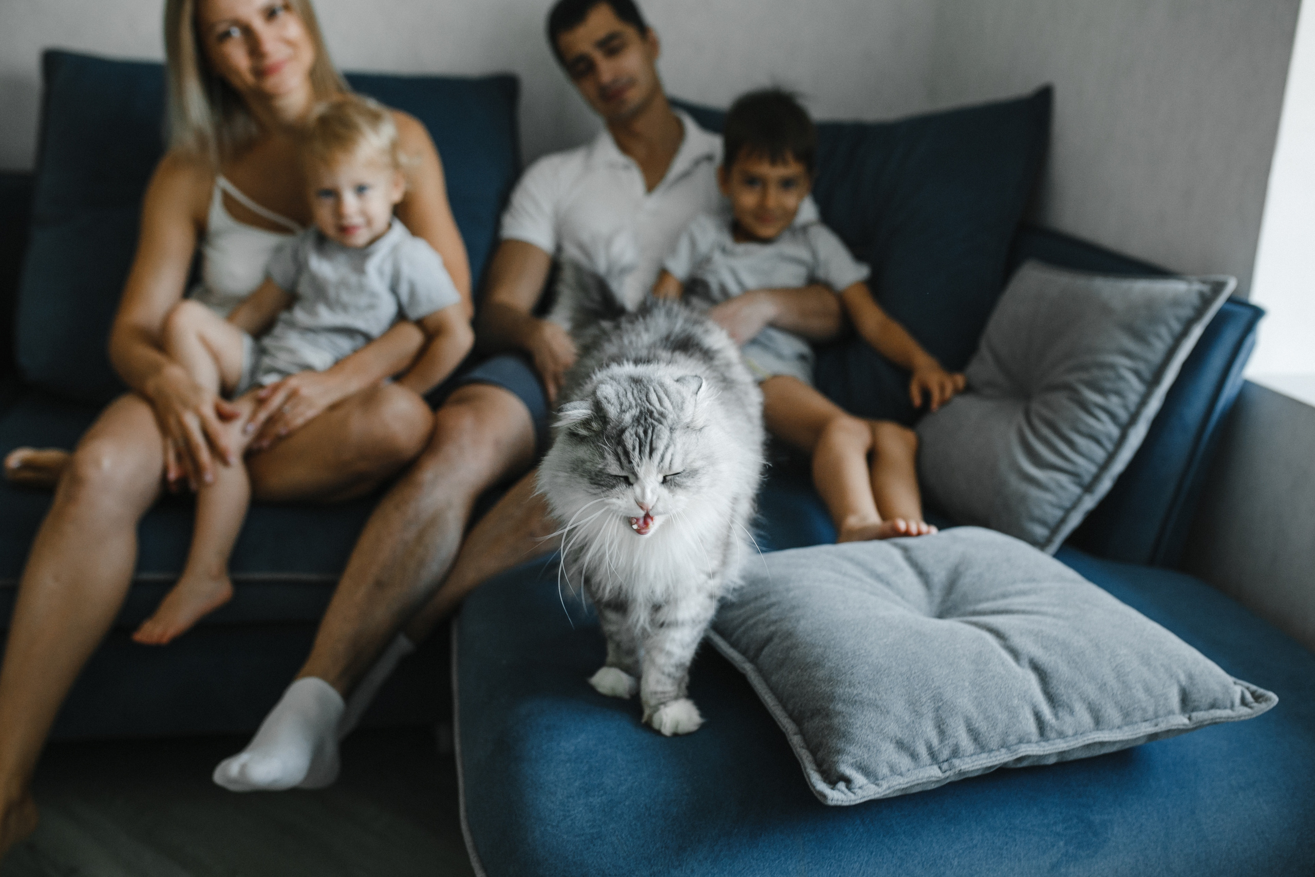 Кристина&Алексей домашняя. Фотограф в Новосибирске Ася Зверева