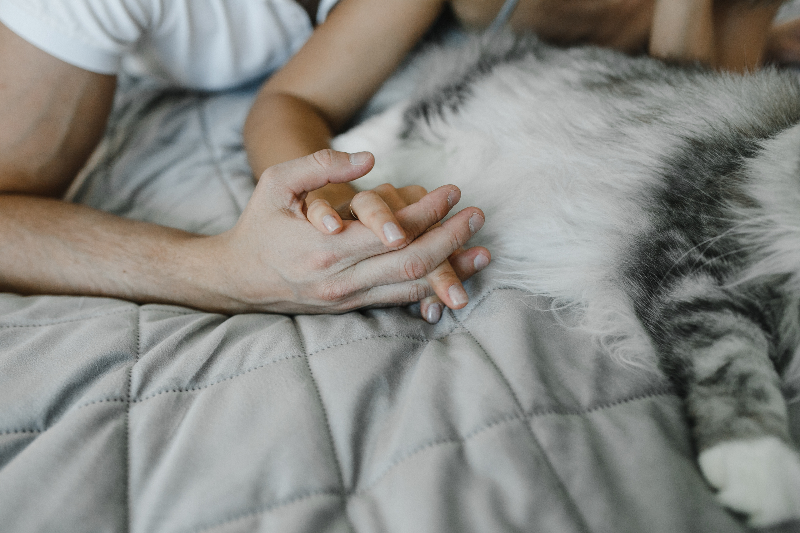 Кристина&Алексей домашняя. Фотограф в Новосибирске Ася Зверева