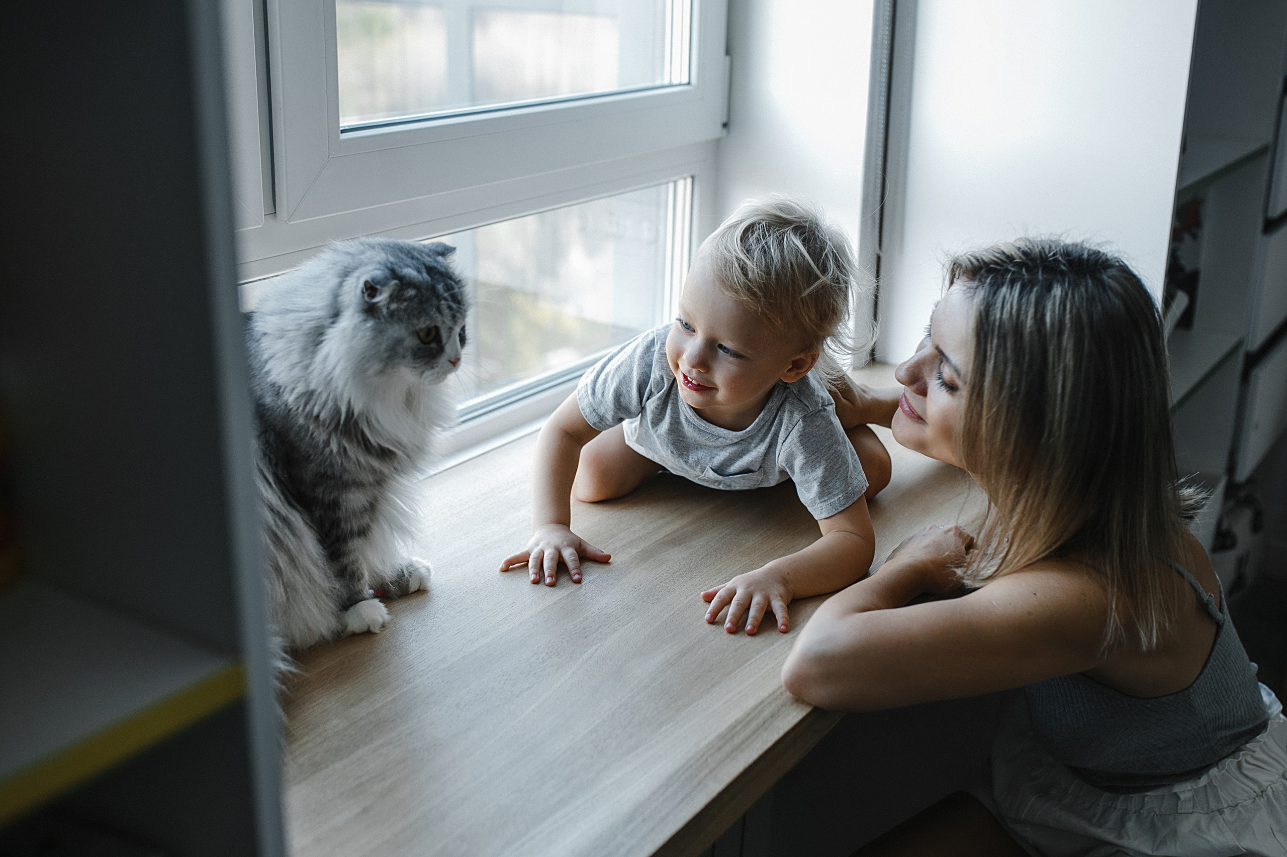 Кристина&Алексей домашняя. Фотограф в Новосибирске Ася Зверева