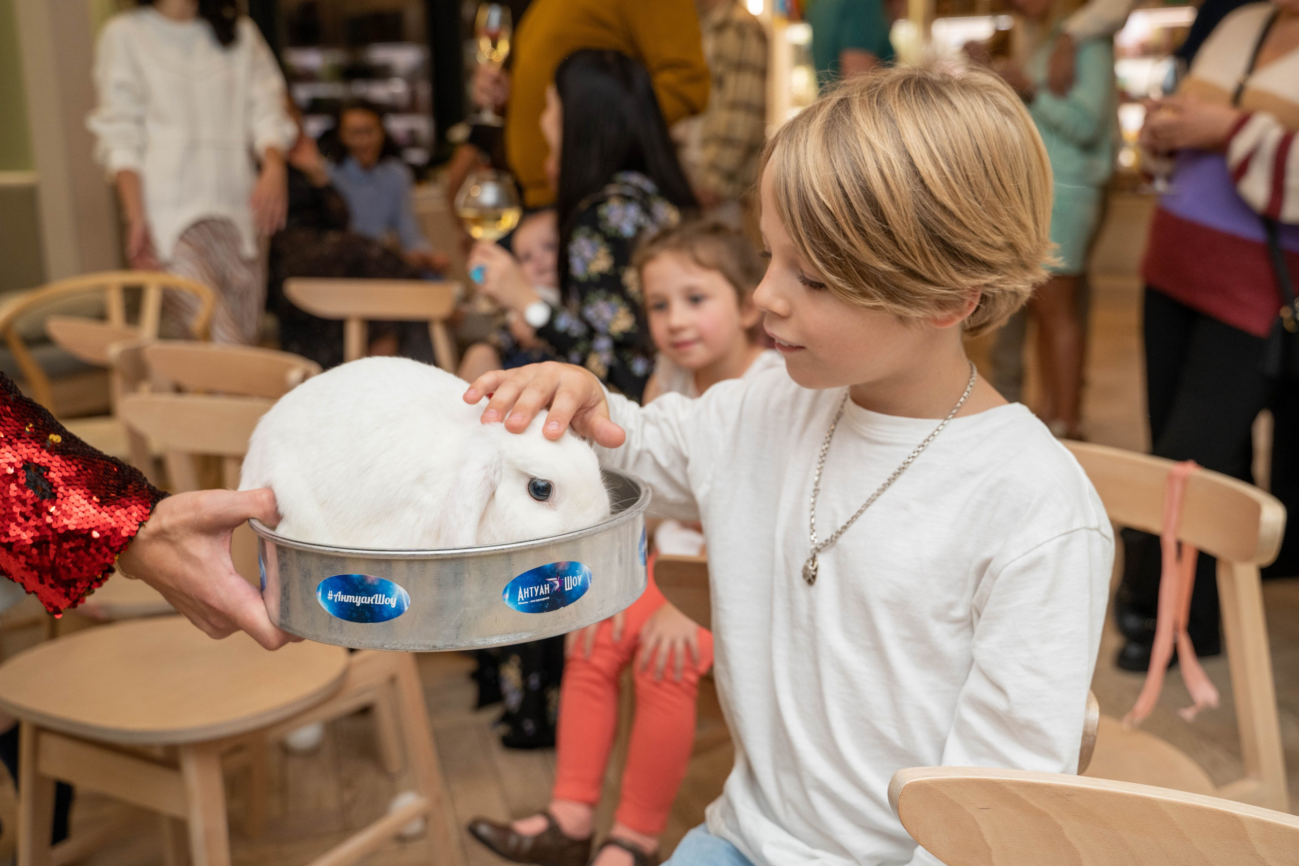 Мальчик гладит кролика на детском празднике