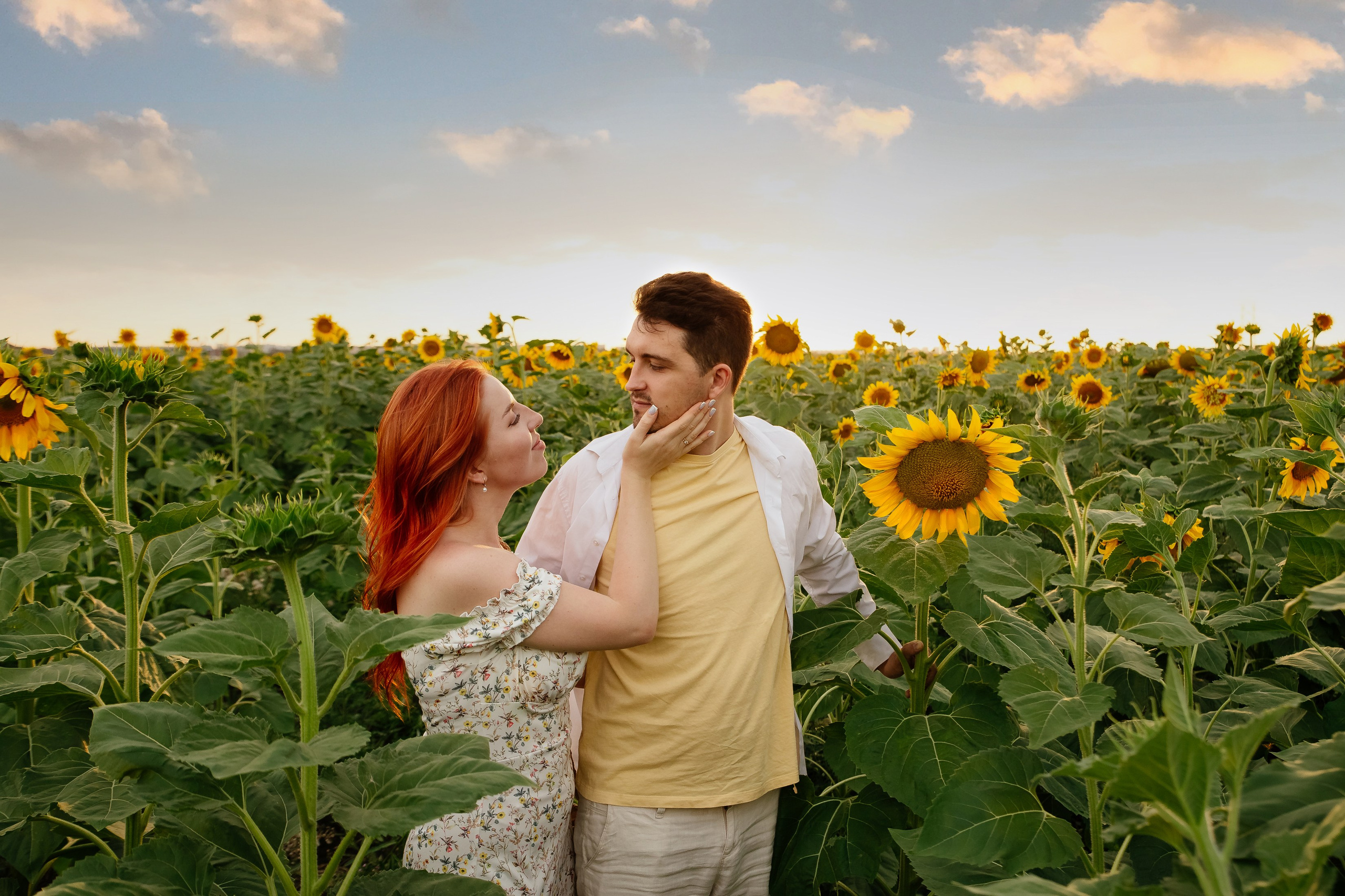 Подсолнухи. Свадебный и семейный фотограф в Краснодаре Илонна Ковалева