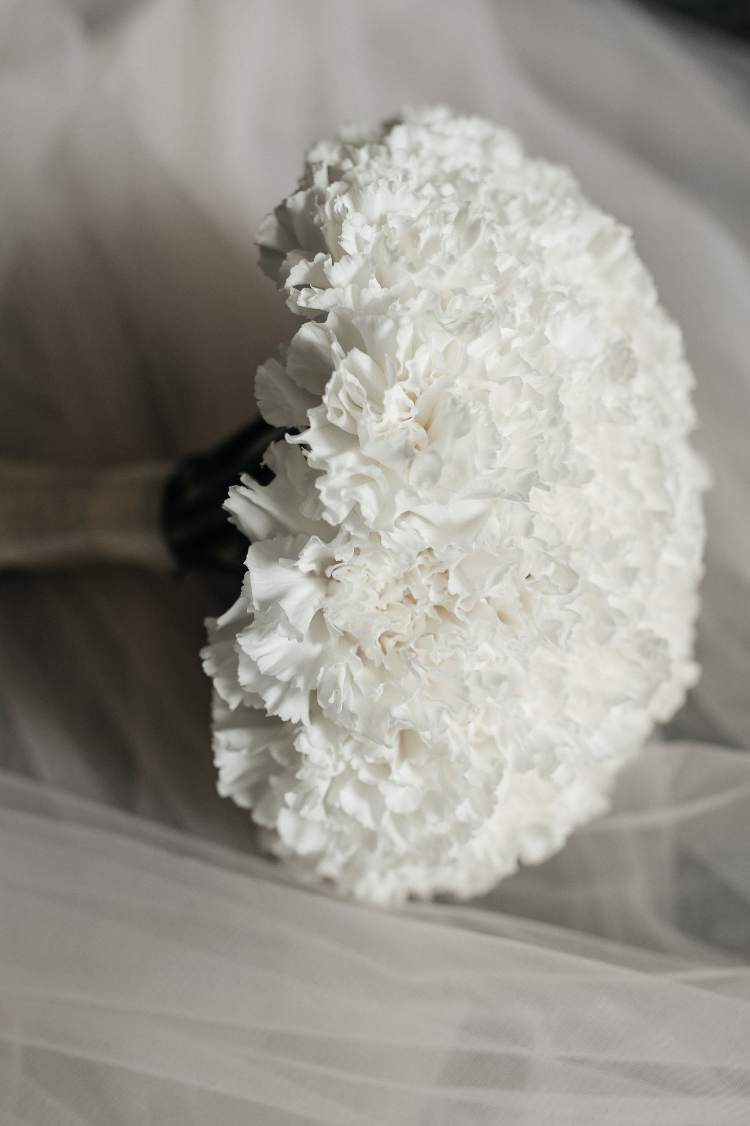 Роман & Вероника. СВАДЕБНЫЙ ФОТОГРАФ ЕВГЕНИЯ МОДИНА Ярославль