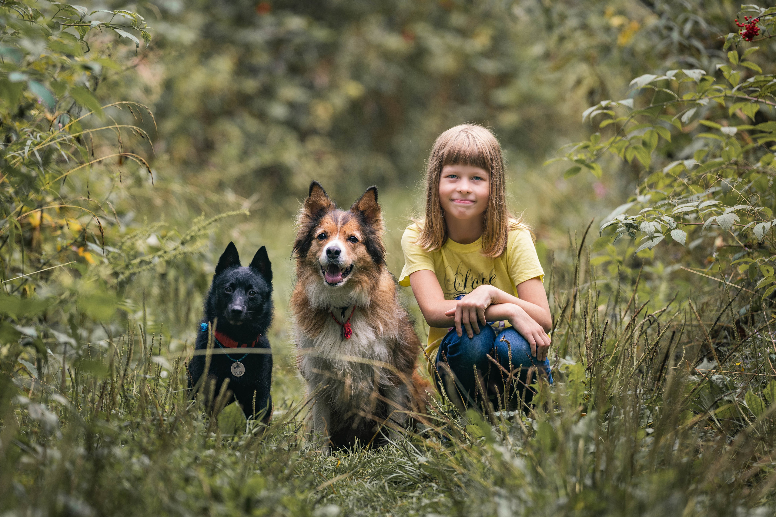 Екатерина и Варвара (собаки Ведьма и Лэд). Семейный фотограф Ефремова Виктория
