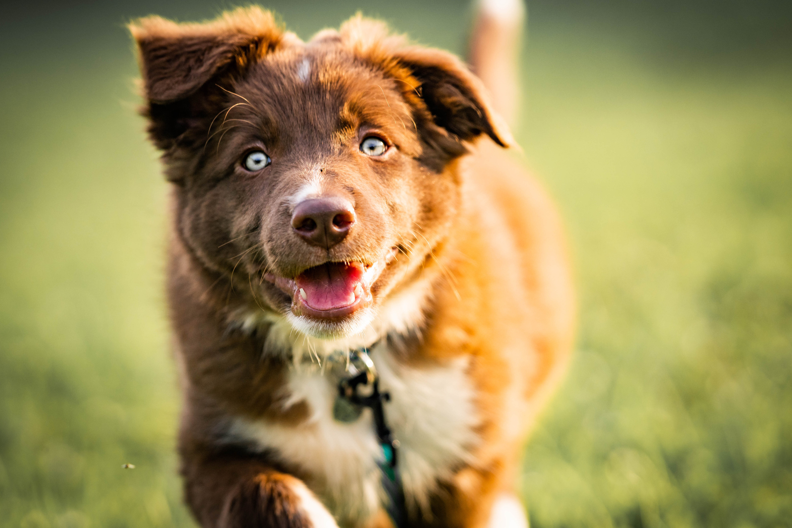 Дети Середниково 16.08.21. Семейный фотограф Ефремова Виктория