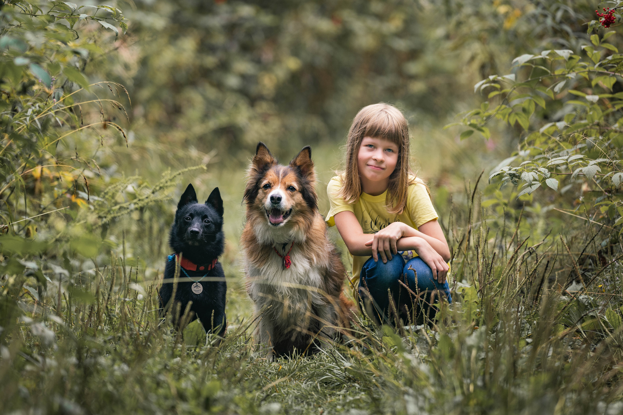Екатерина и Варвара (собаки Ведьма и Лэд). Семейный фотограф Ефремова Виктория