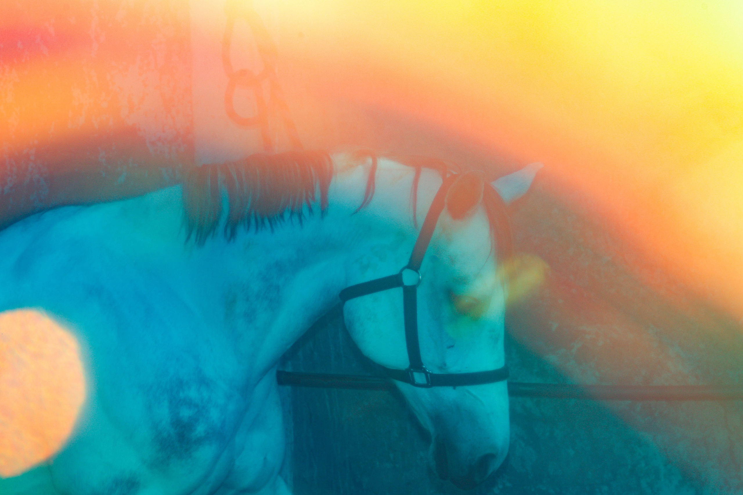 Фотохронотоп детства. Kateserbina