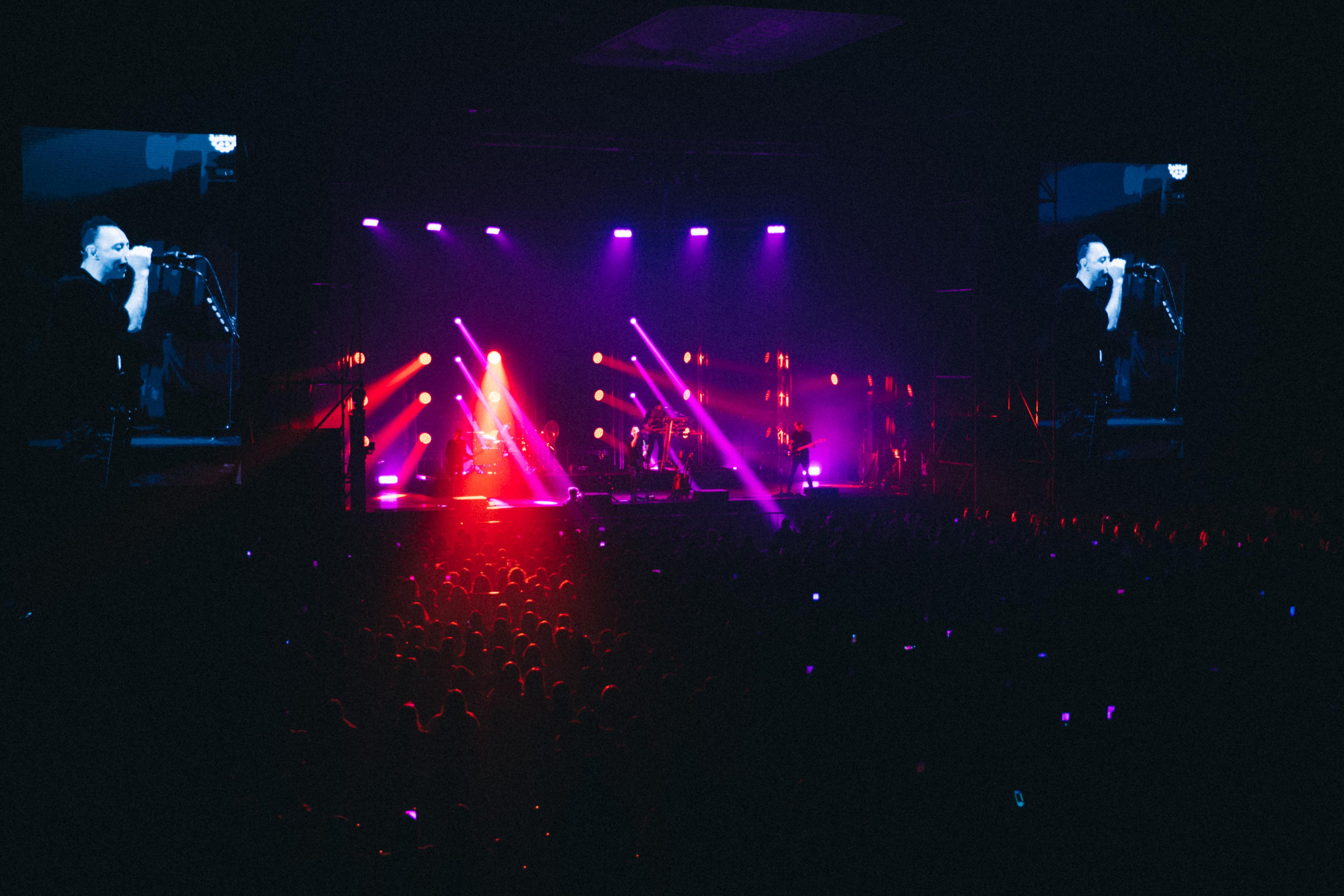 Гр.Звери. Свадебный фотограф Виктория