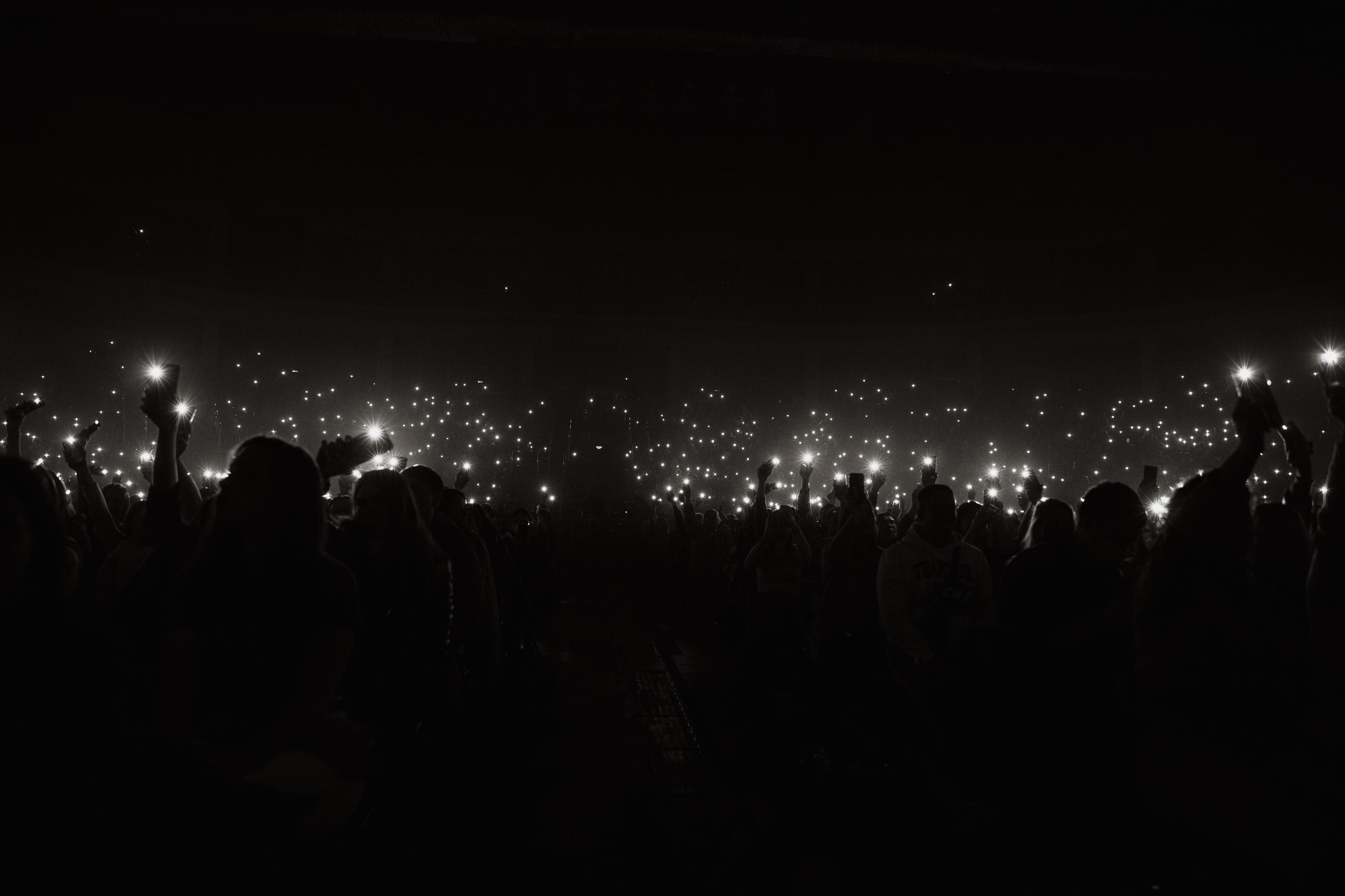 Гр.Звери. Свадебный фотограф Виктория