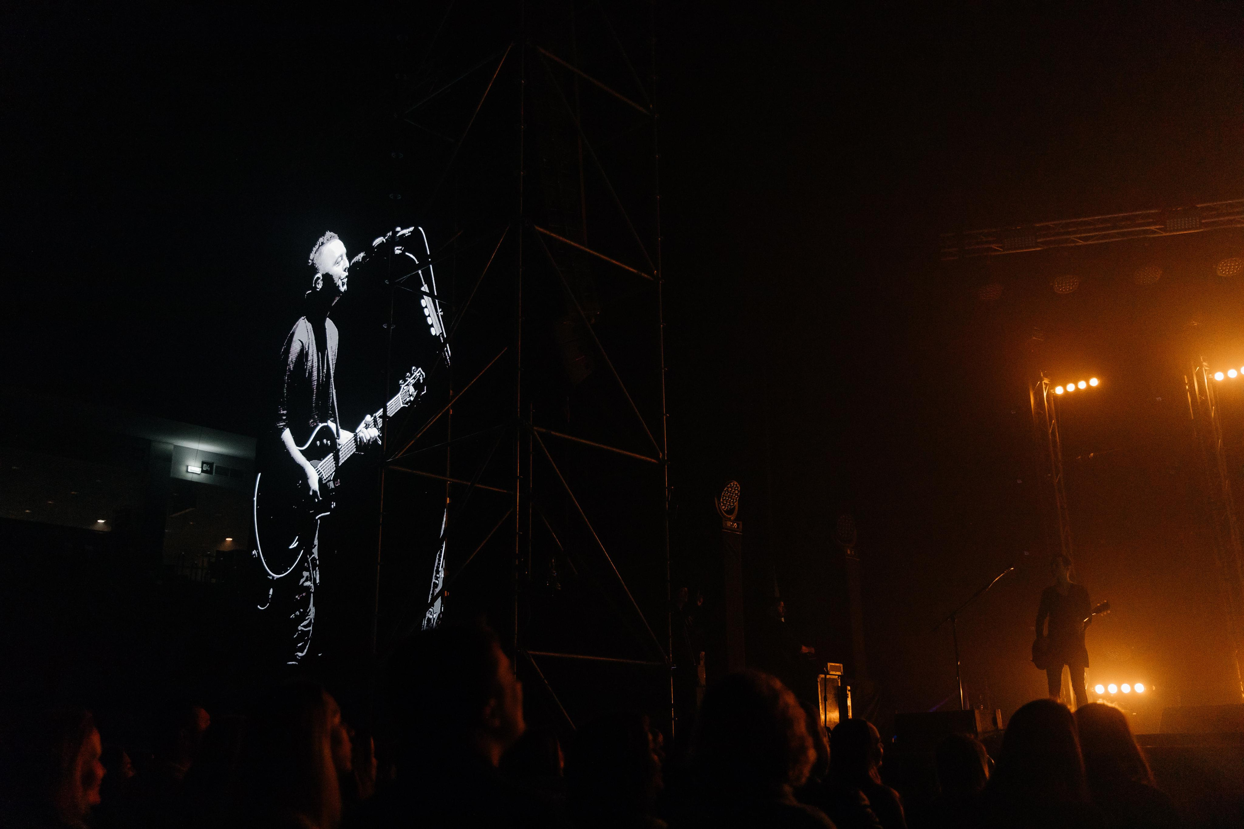 Гр.Звери. Свадебный фотограф Виктория