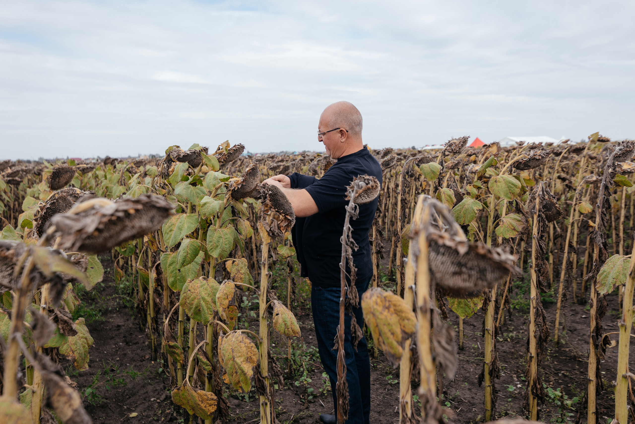 День поля. Фотограф Крохин Олег