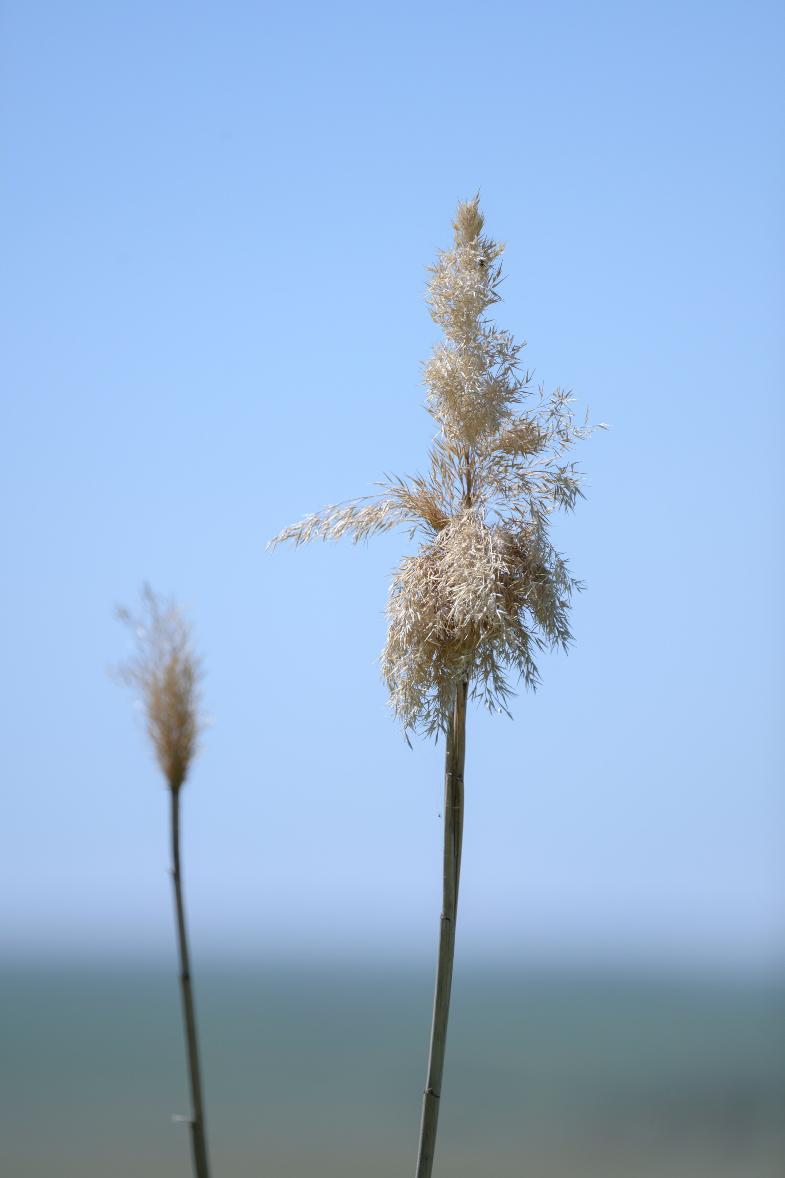 Оренбуржье. Портретный фотограф в Челябинске Катерина Руди