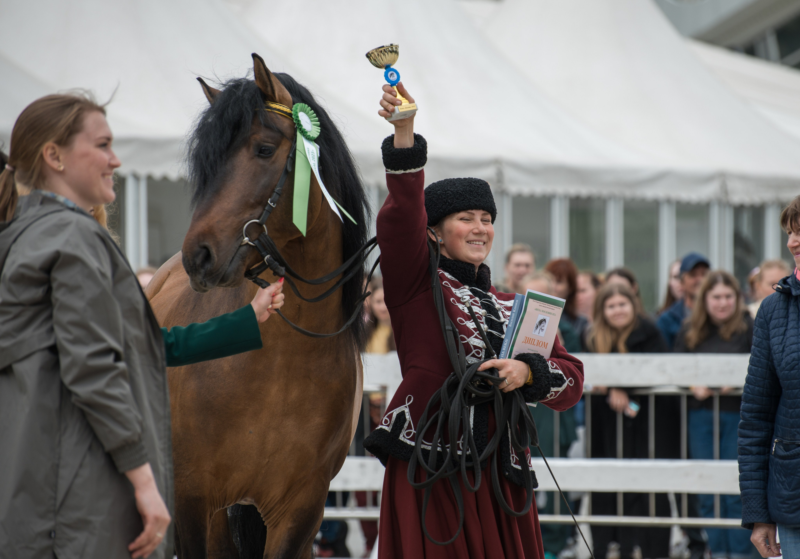 Эквирос, Москва. Конный фотограф в Саратове Юлия Иванова